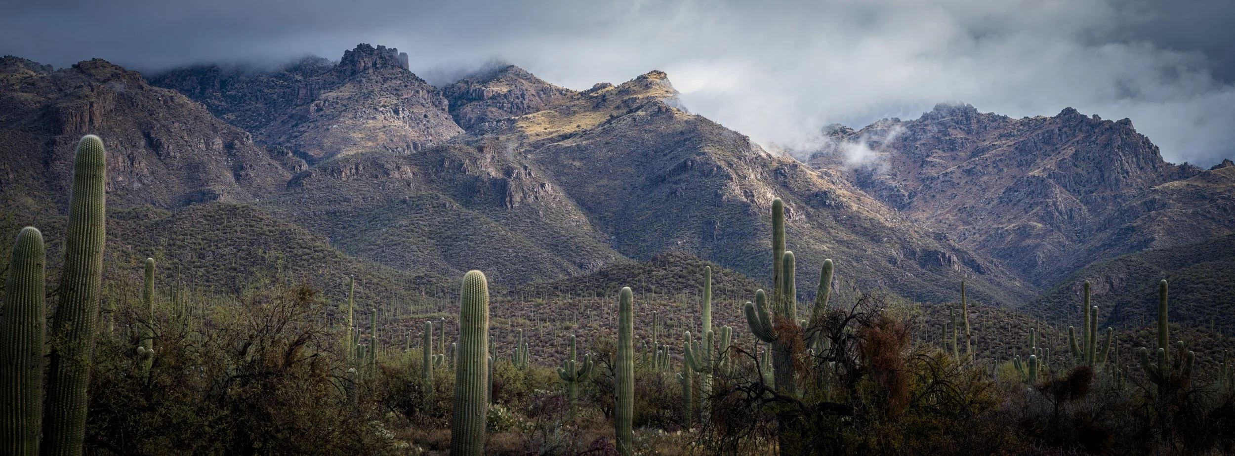 Sabino Canyon in Spring.jpg