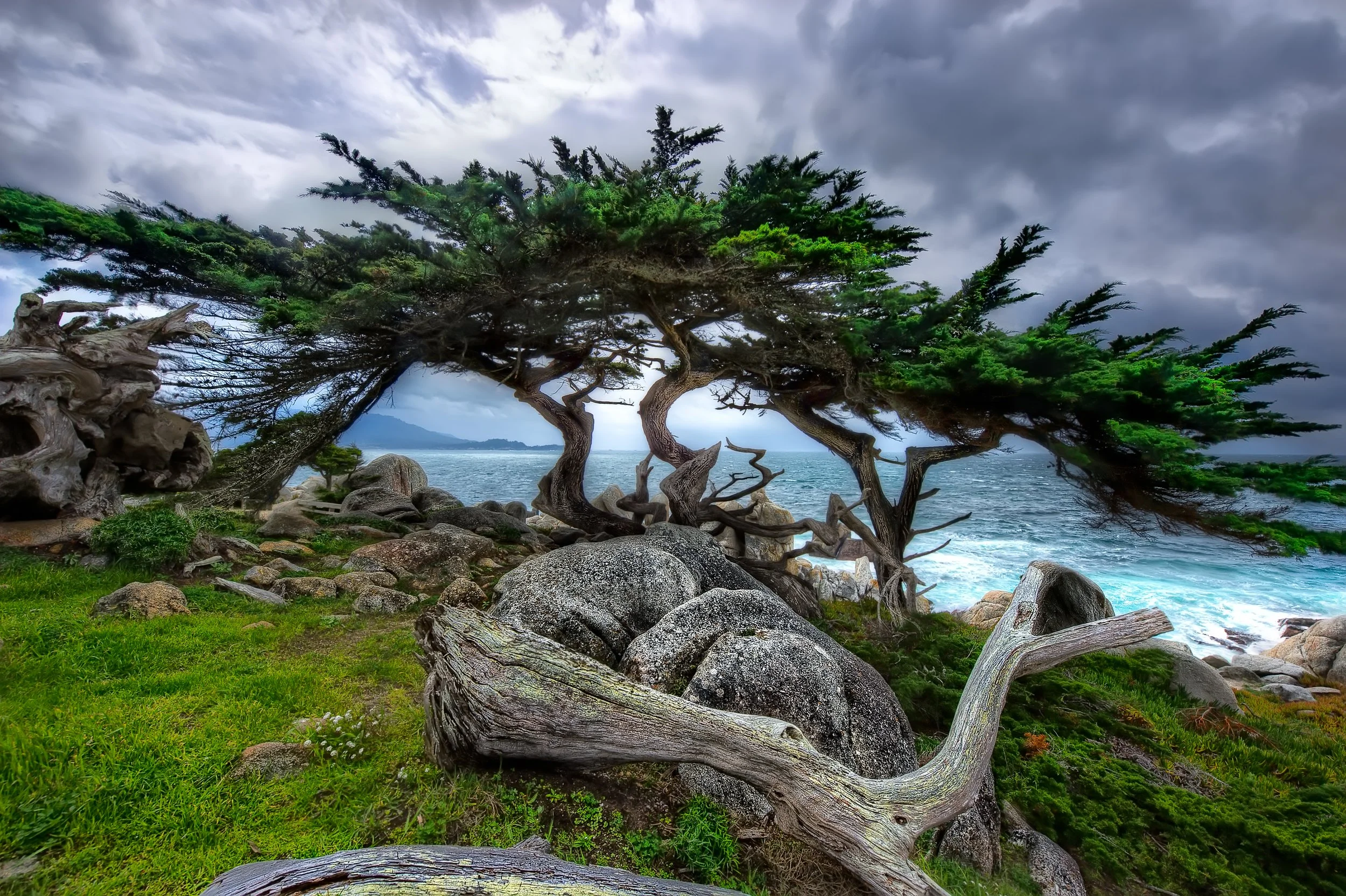 spread your wings.jpg