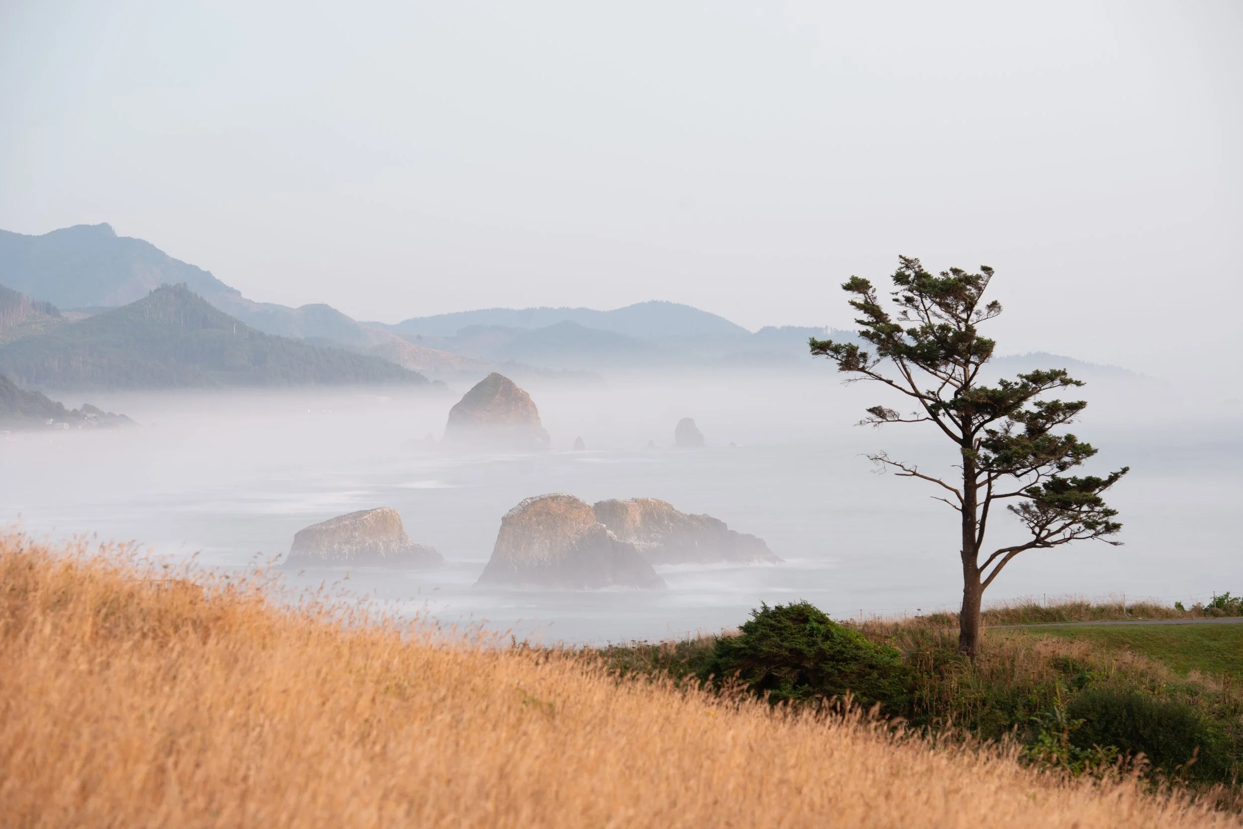 the fog rolls in.jpg