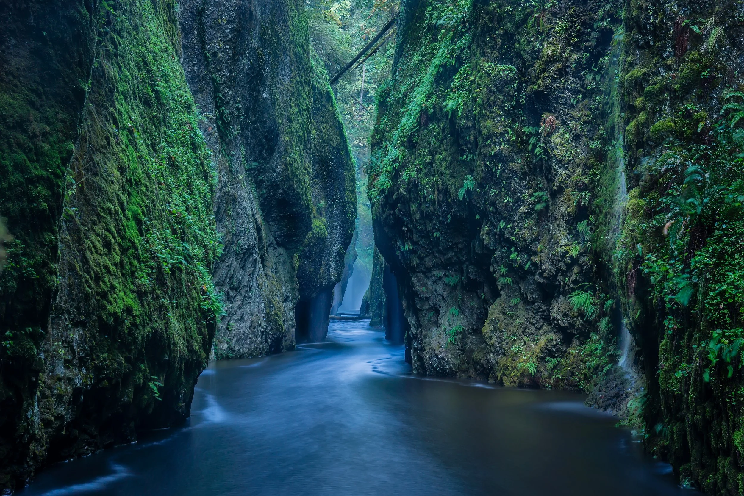 the mystery of oneonta gorge.jpg