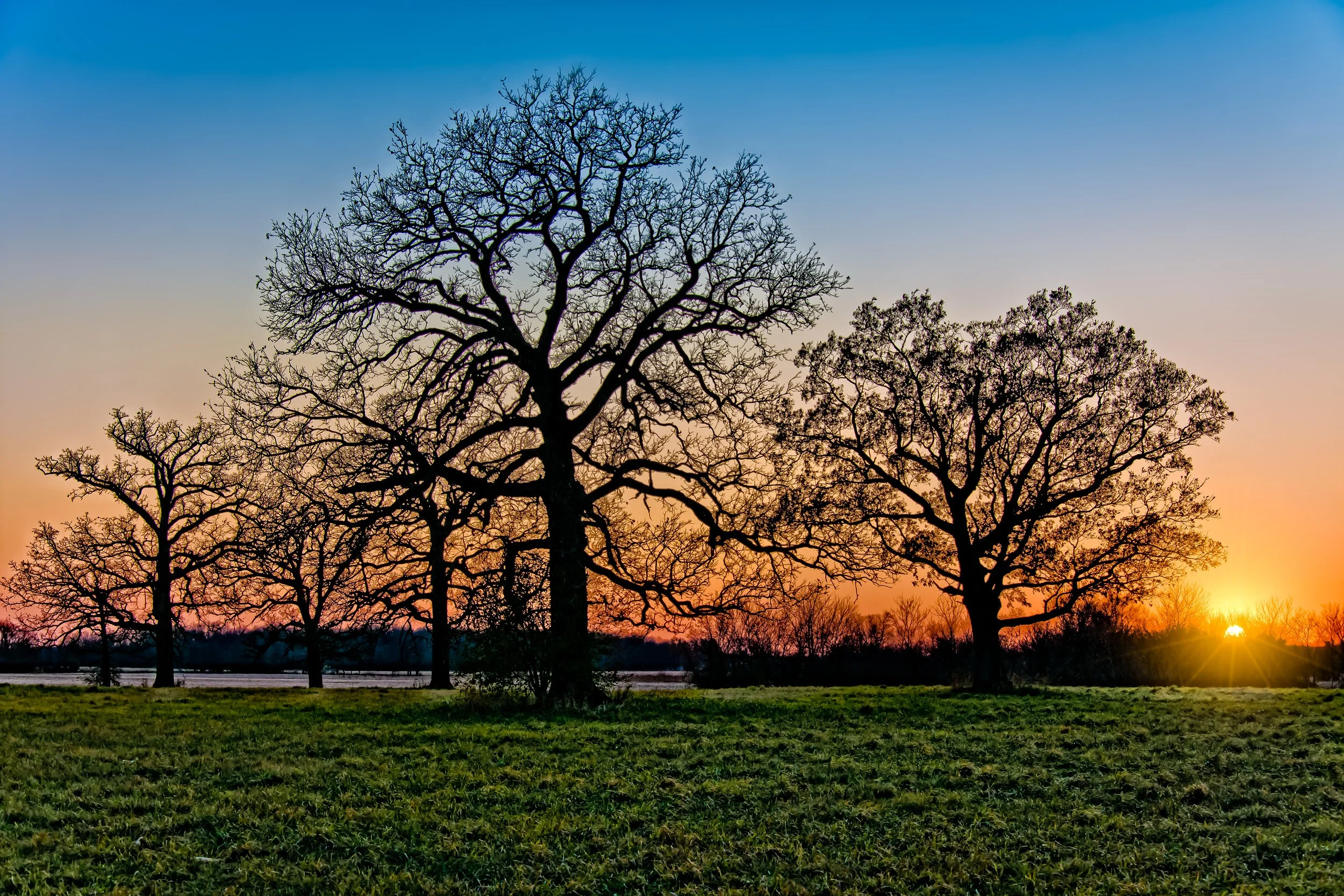 the sentinels at sunset.jpg