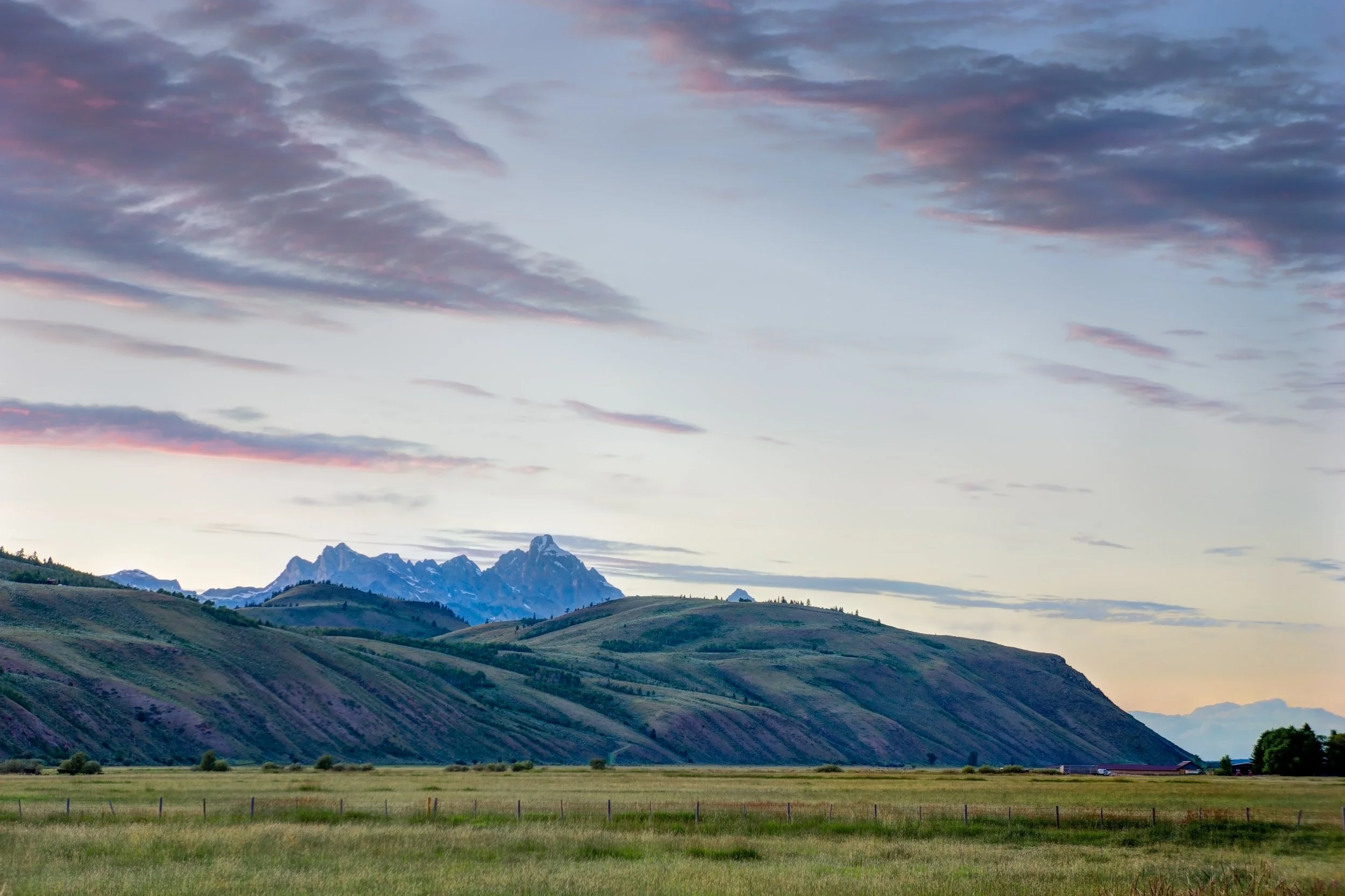 Twilight in the Meadow.jpg