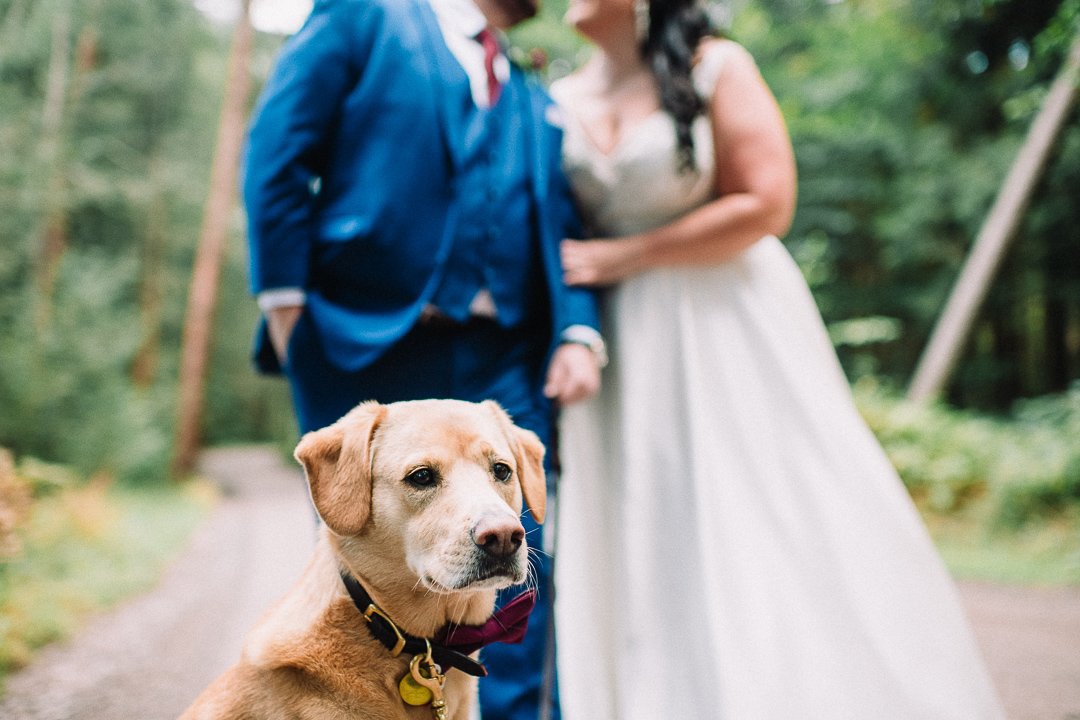 Dog with Couple at their Pocono Lake Preserve Wedding by DPNAK Events and Nina Lily Photography