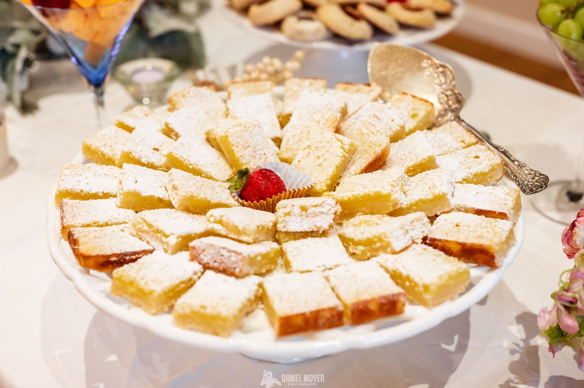 Morris-Arboretum-Wedding-43.JPG