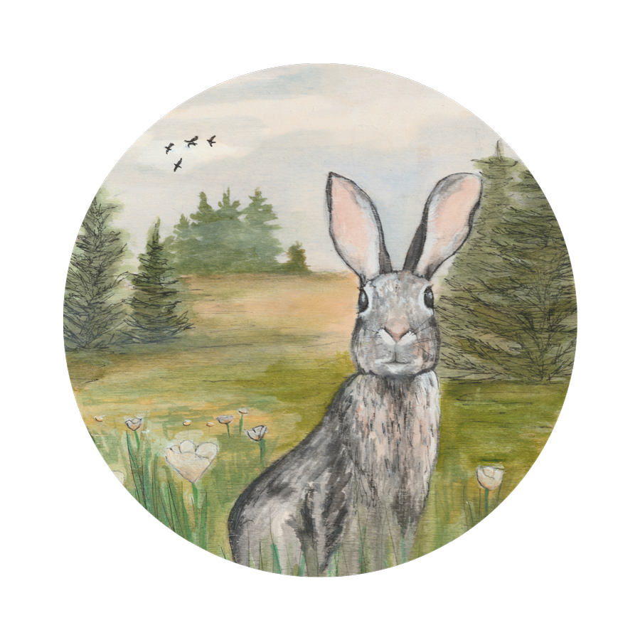 rabbitthumb_square.png