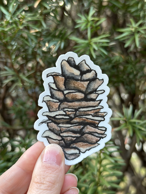 Pinecone Sticker