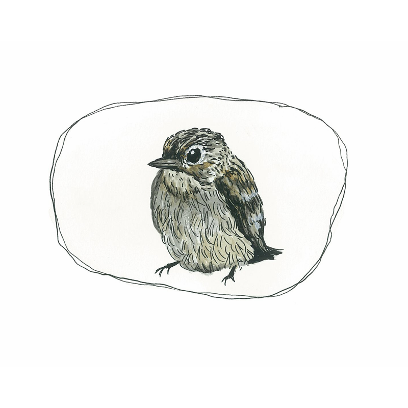 feathered_square.png