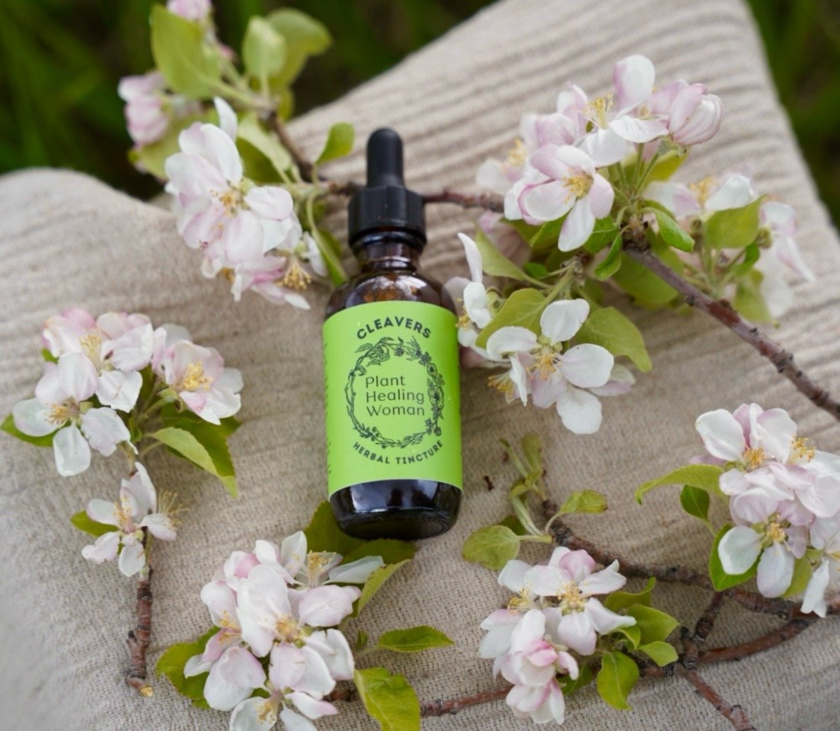 Cleavers Tincture | Lymph Aid
