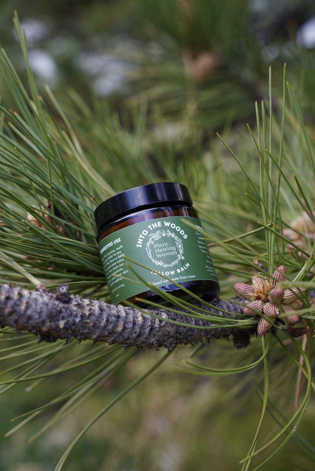 Into The Woods / Tree Resin Tallow Balm