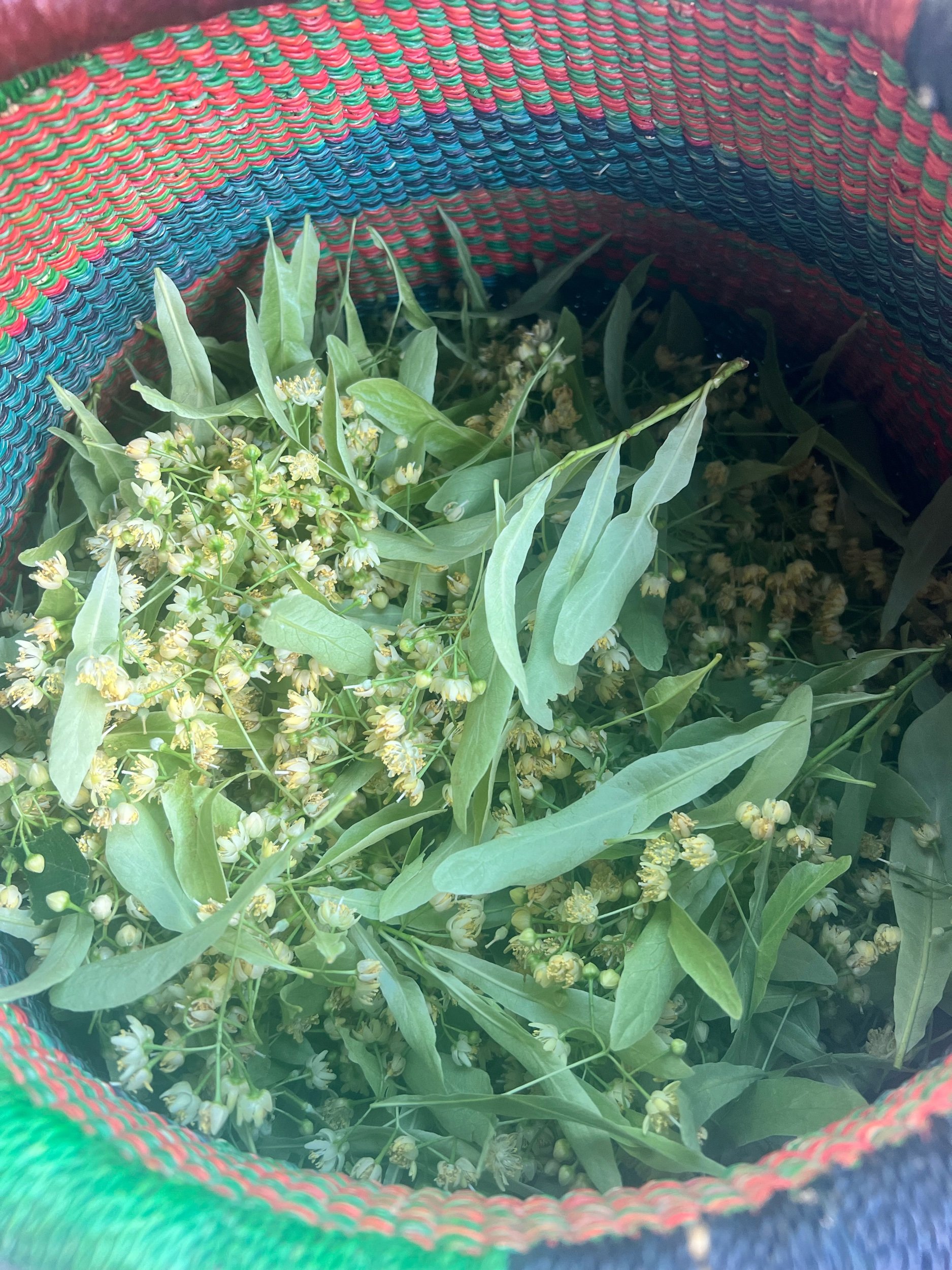 Linden Infused Honey