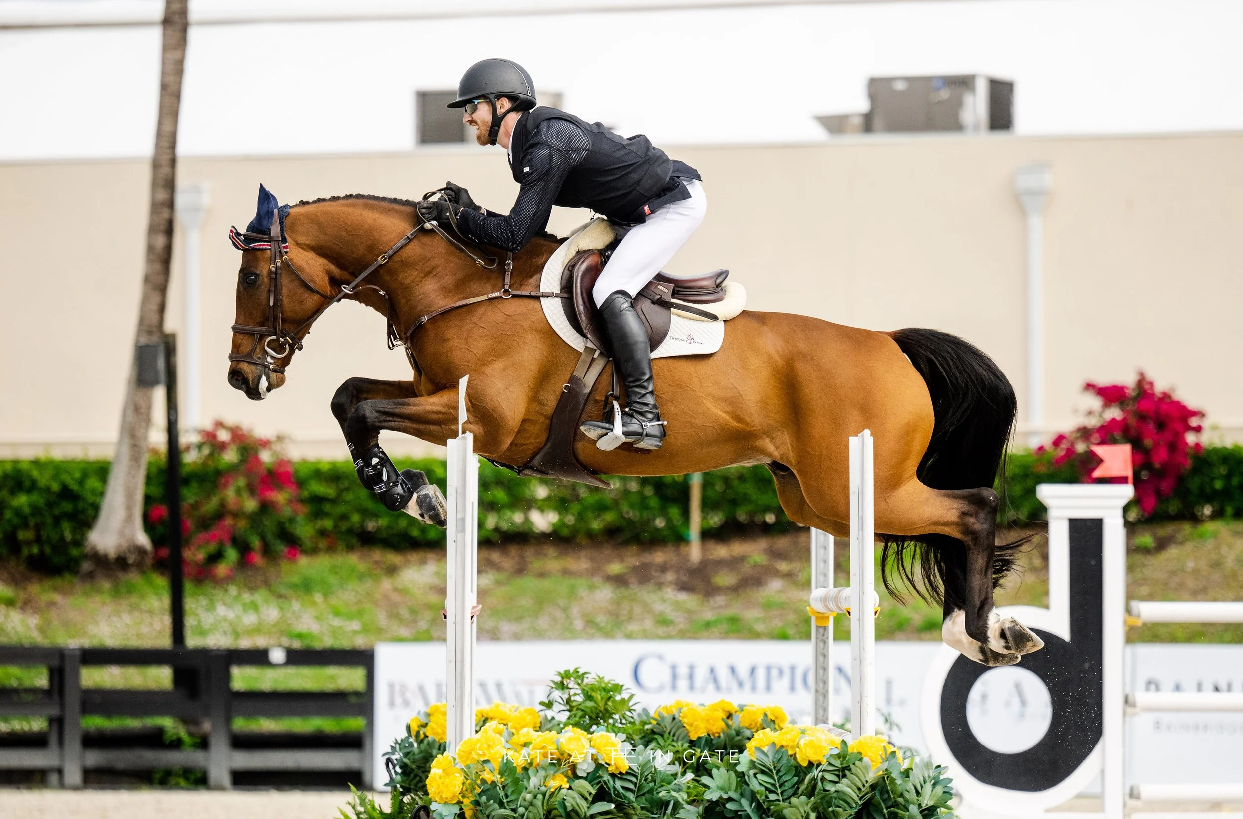 General 3 — Treesdale Farms