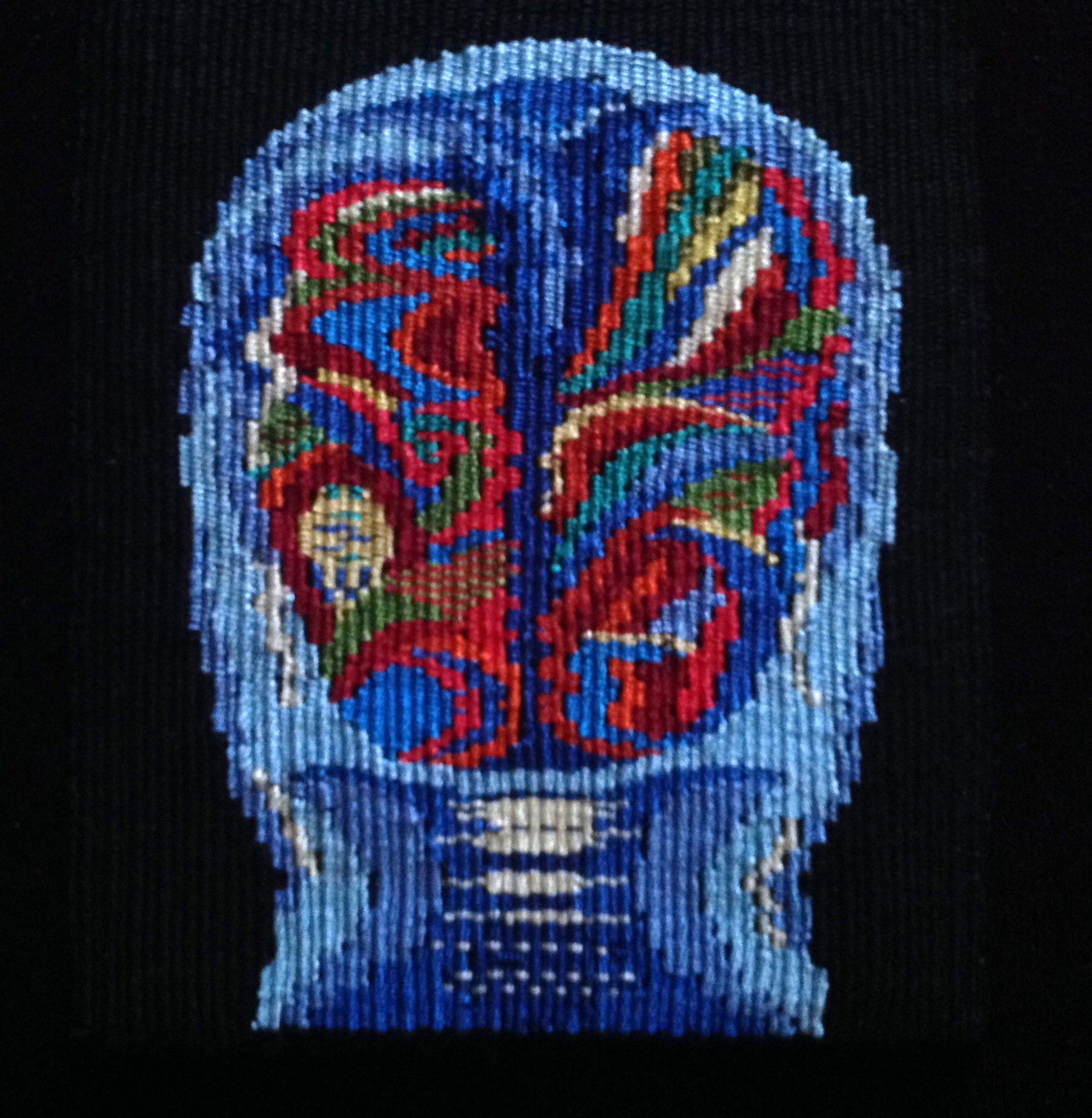 fiber art, tapestry weaving, loom weaving, medicine and weaving, science and weaving, science and art,