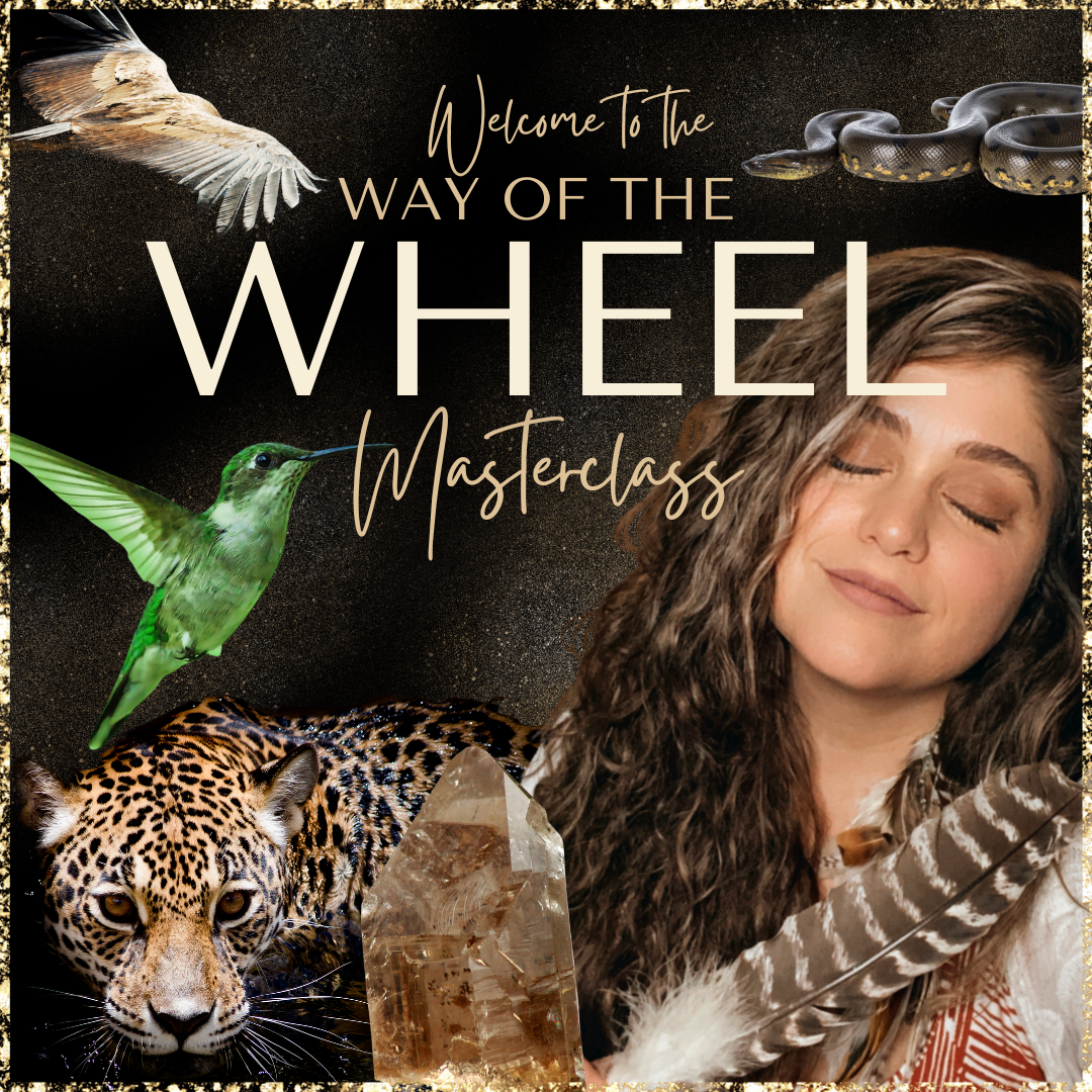 WAY OF THE WHEEL GRAPHIC (2).png