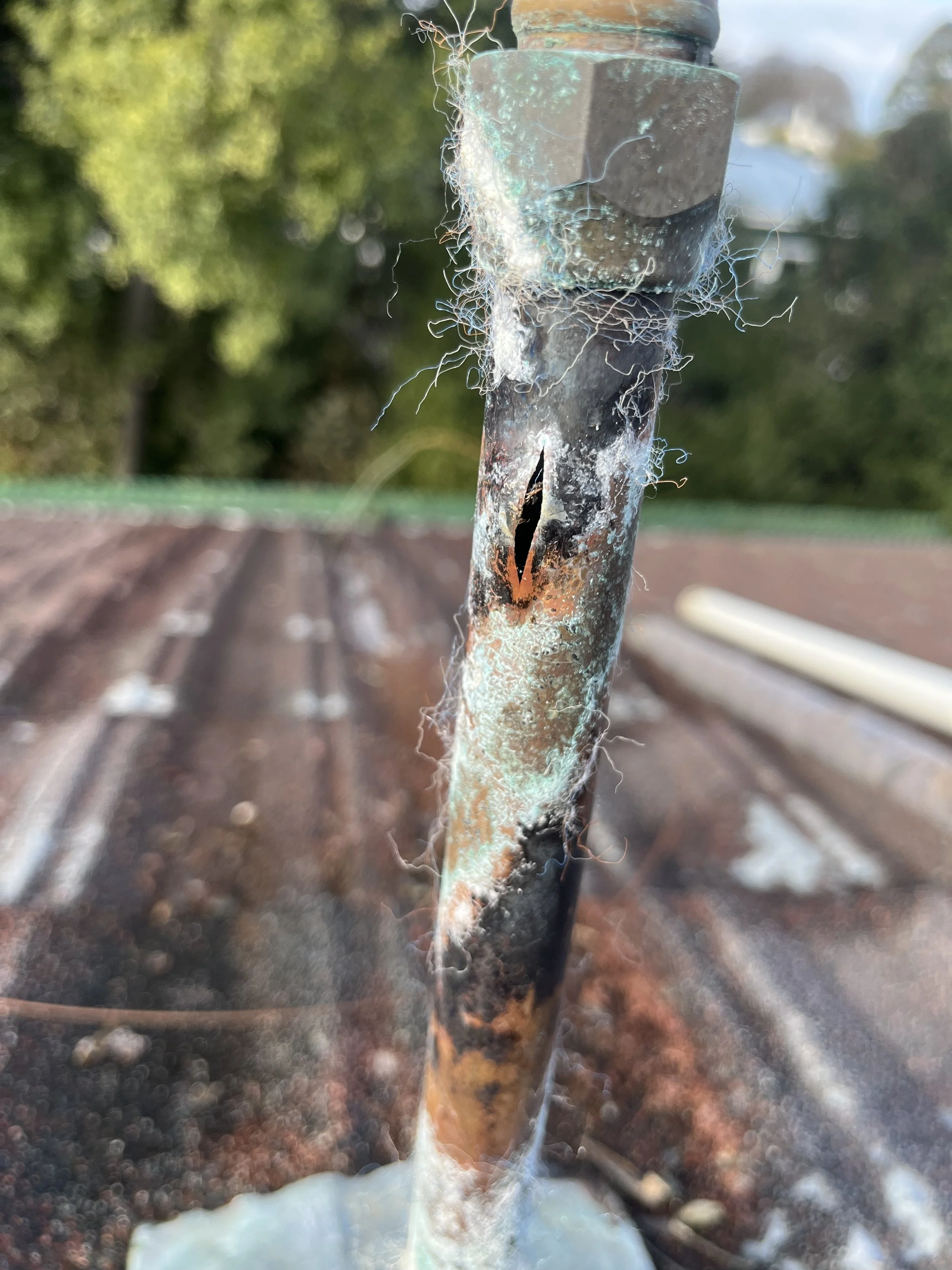 Leaking Exhaust vent pipe