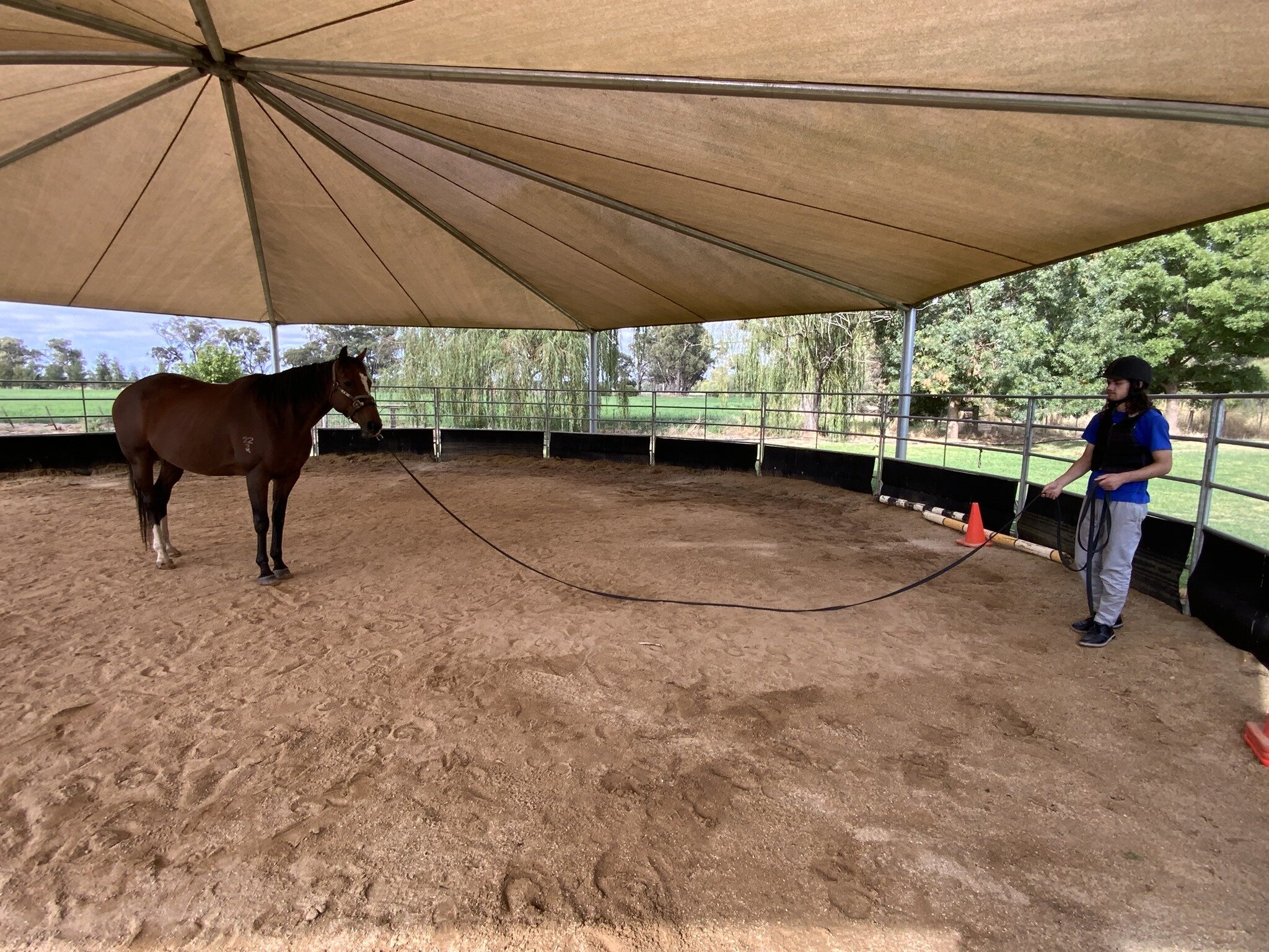 Learning to happily stand in his own space. 

Thanks to some extra special support from a participant, Archie learnt to feel confident and comfortable standing all by himself.

Archie is one of our newest horses to join the program, and today was onl