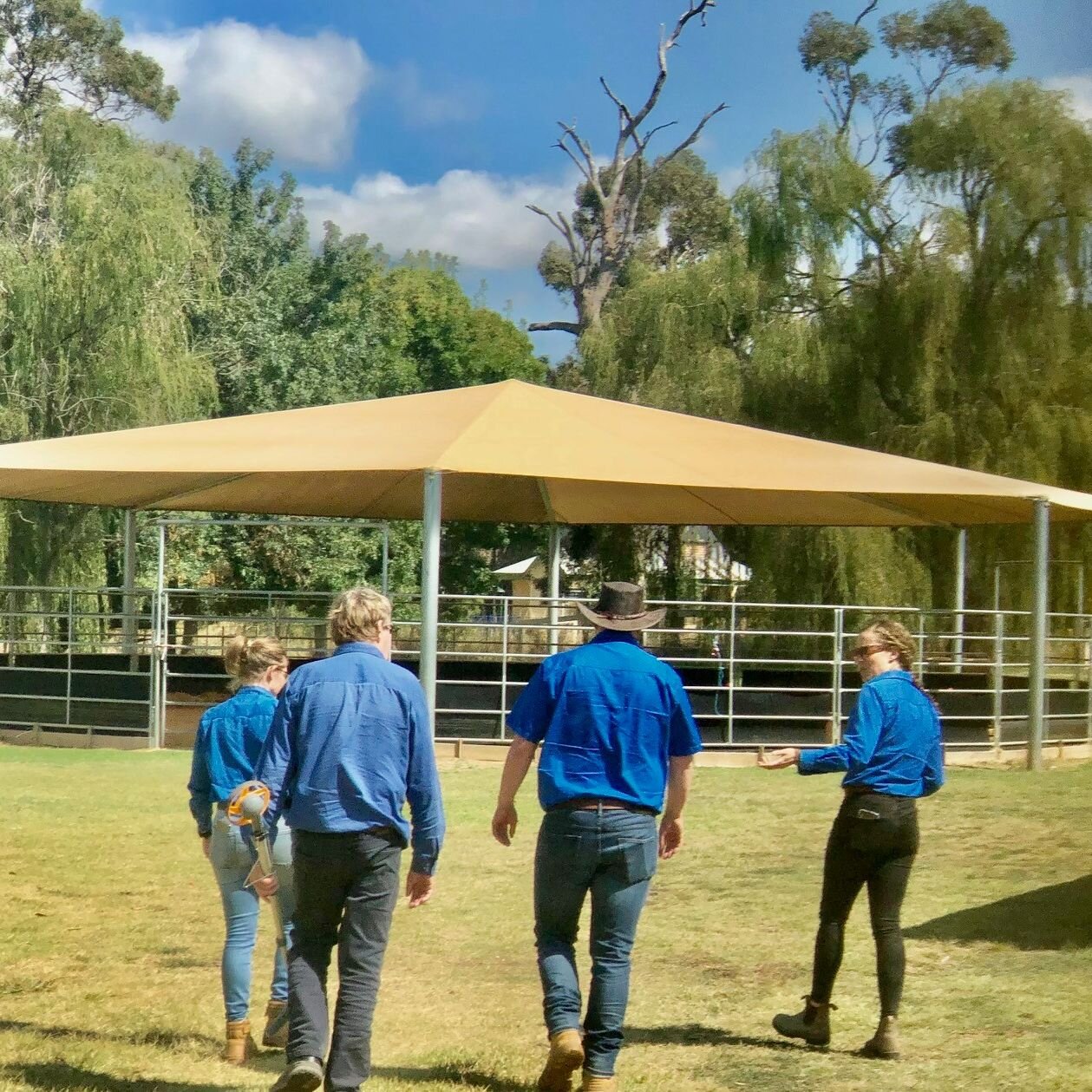 Walking meetings even happen on the farm - boots and all! 
Ali, Colin, Jack and Caz deep in discussion.