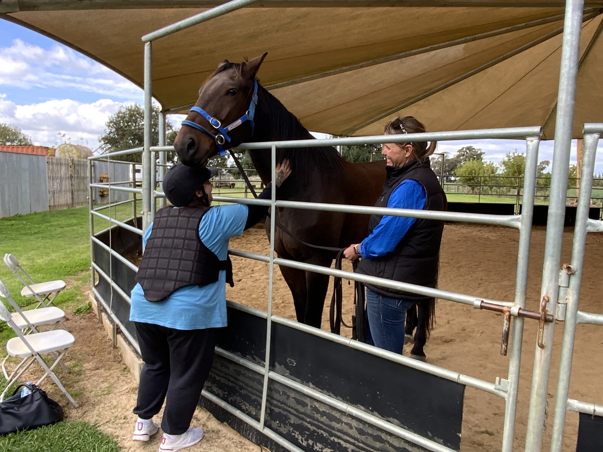 &ldquo;𝒯𝒽𝑒𝓇𝑒 𝒶𝓇𝑒 𝒿𝓊𝓈𝓉 𝓃𝑜 𝓌𝑜𝓇𝒹𝓈 𝒻𝑜𝓇 𝒾𝓉&rdquo; were the exact words spoken by this lovely participant after a special session with Big Billy.
 
For both the horse and human, during the introduction through the fence there was an