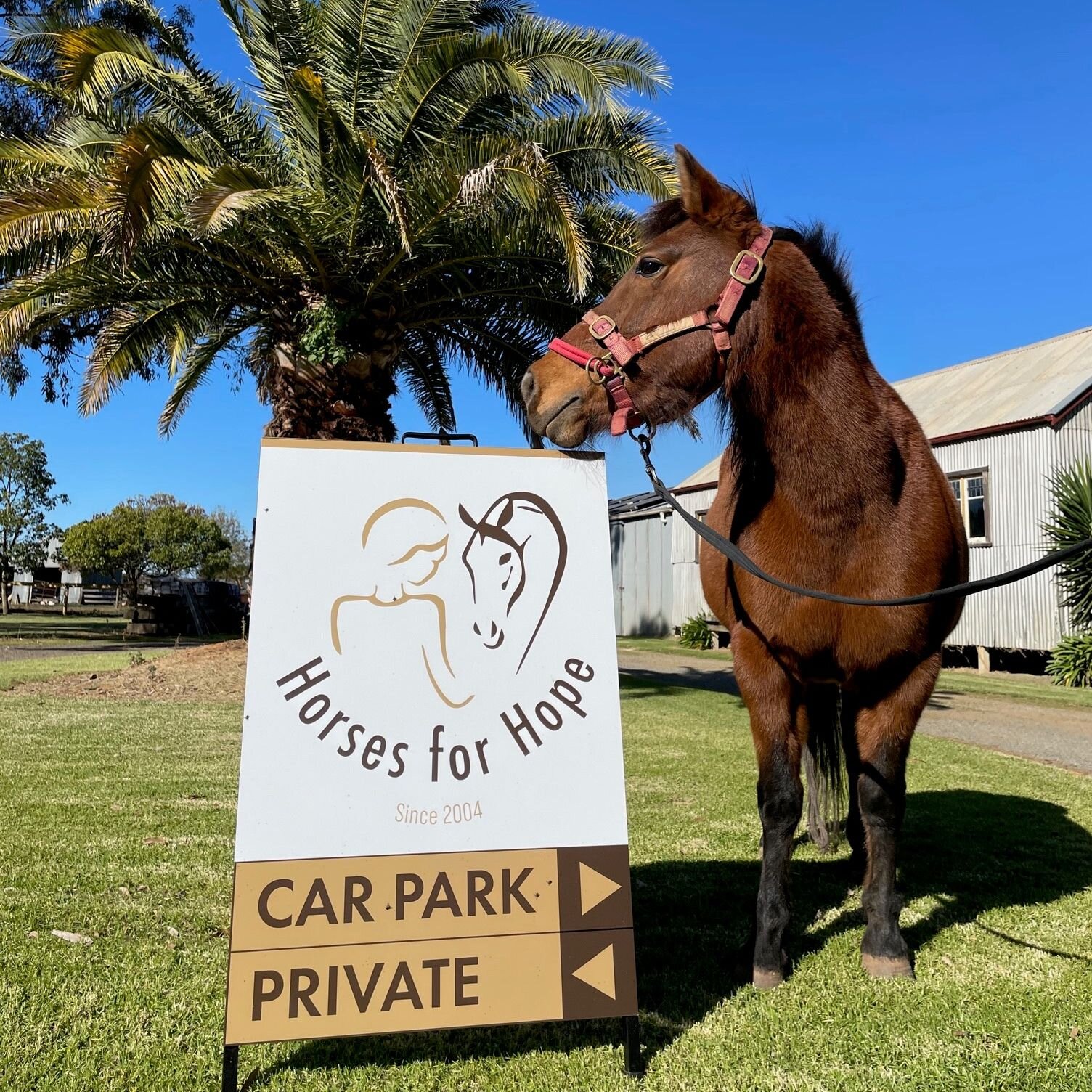 𝗕𝗜𝗚 𝗕𝗜𝗚 Shout out to our friends at @gvsignmakers  for our awesome new signs &ndash; they look very fancy and even better people will be able to find us now 😊

📸Brea gives the big thumbs (hoof) up as well.