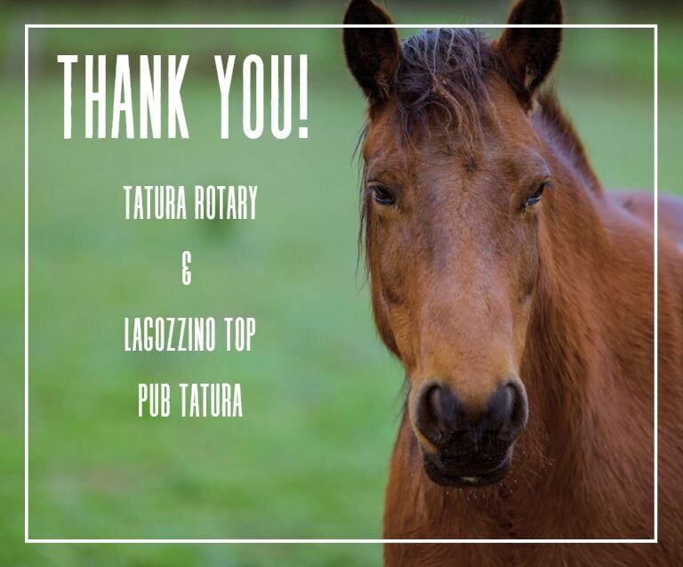 We would like to thank Tatura Rotary  Club for your warm hospitality and listening to the Horses for Hope journey last night, we thoroughly enjoyed ourselves and also loved hearing more about your club and all the heart warming assistance you provide