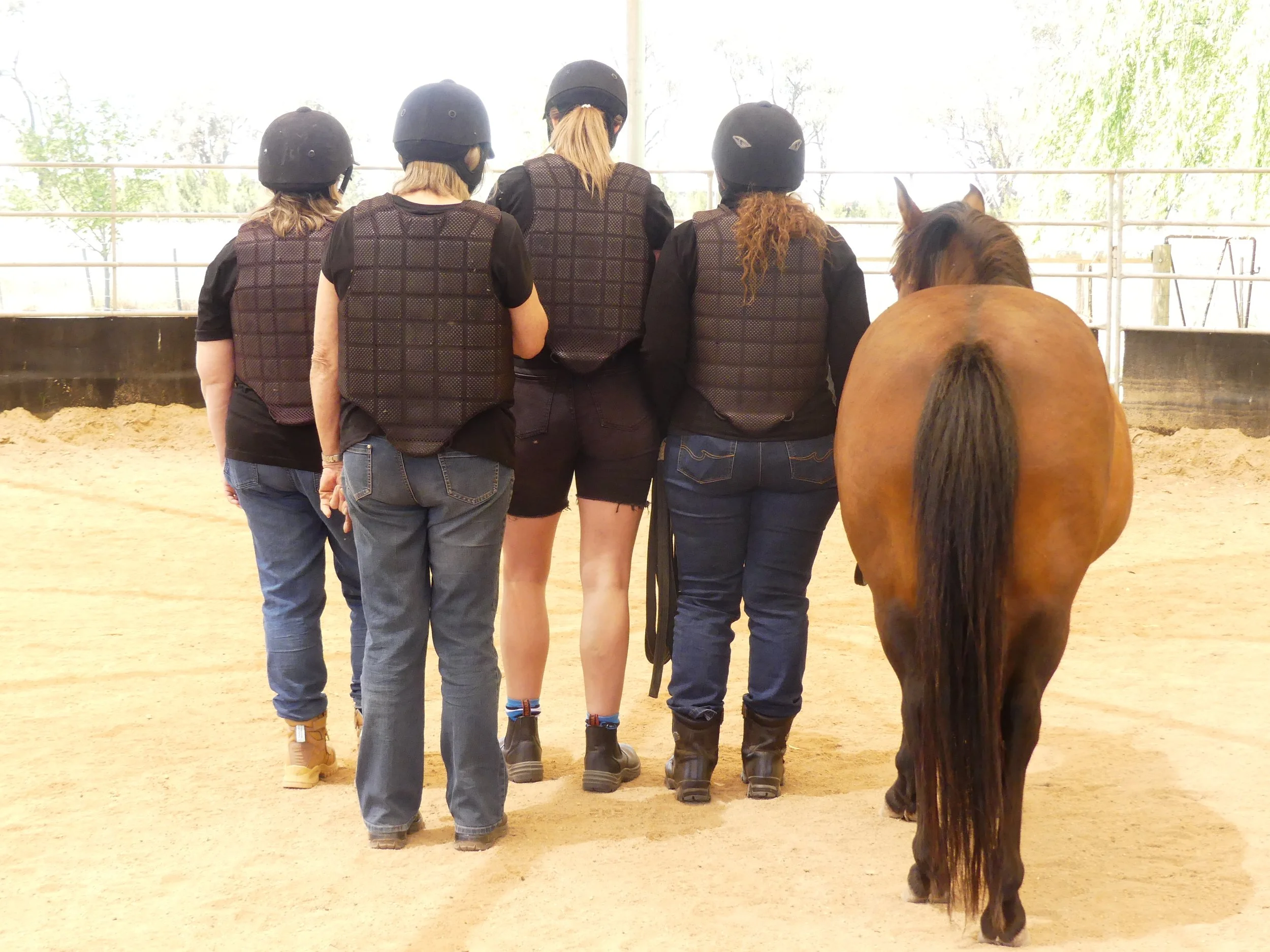 Our Vision — Horses for Hope