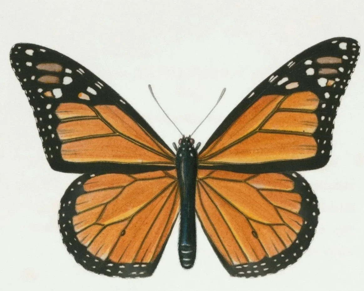 A monarch butterfly resting on pink flowers against a blue sky.