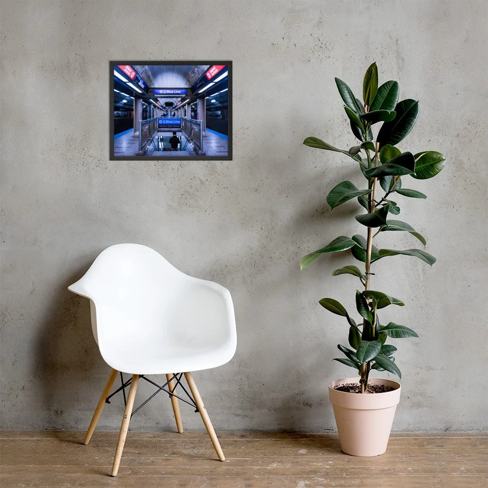 premium-luster-photo-paper-framed-poster-(in)-black-16x20-lifestyle-1-67e70e388a00d.jpg