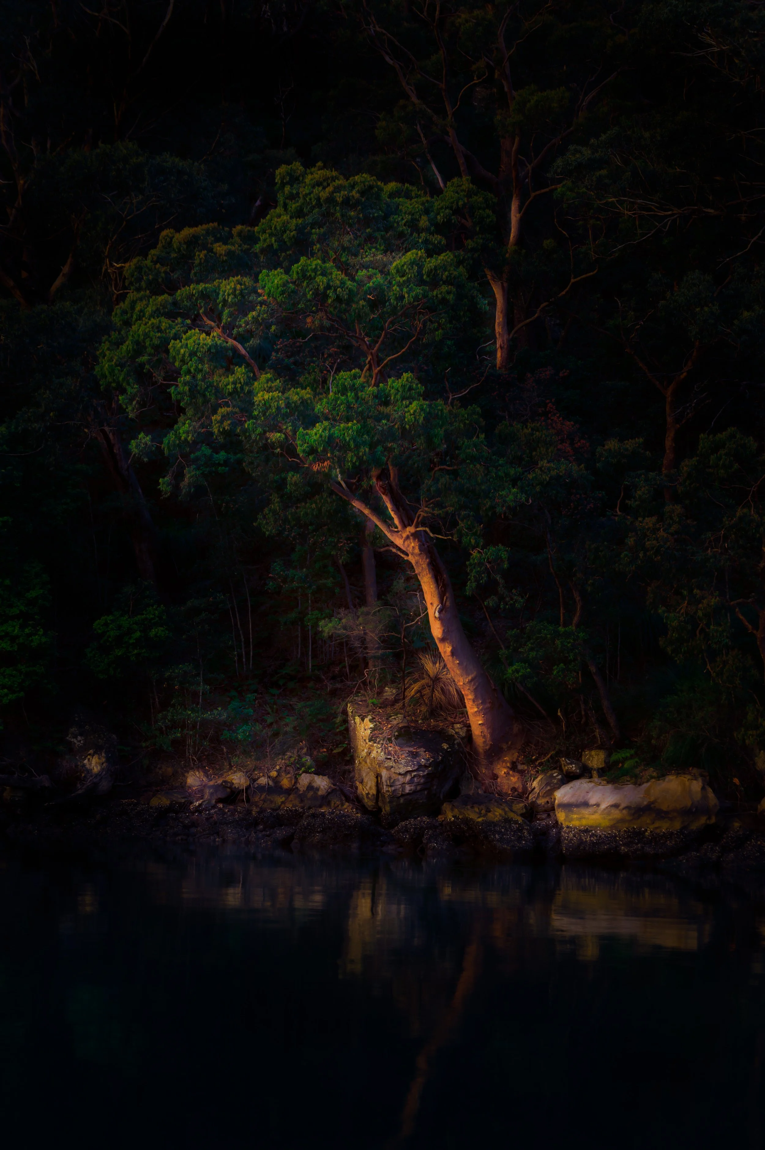 Manley.L_5_The Foreshore_SCENIC.jpg