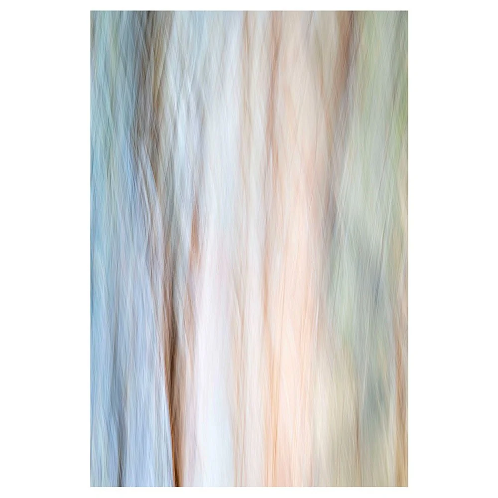 Colour Of Bark