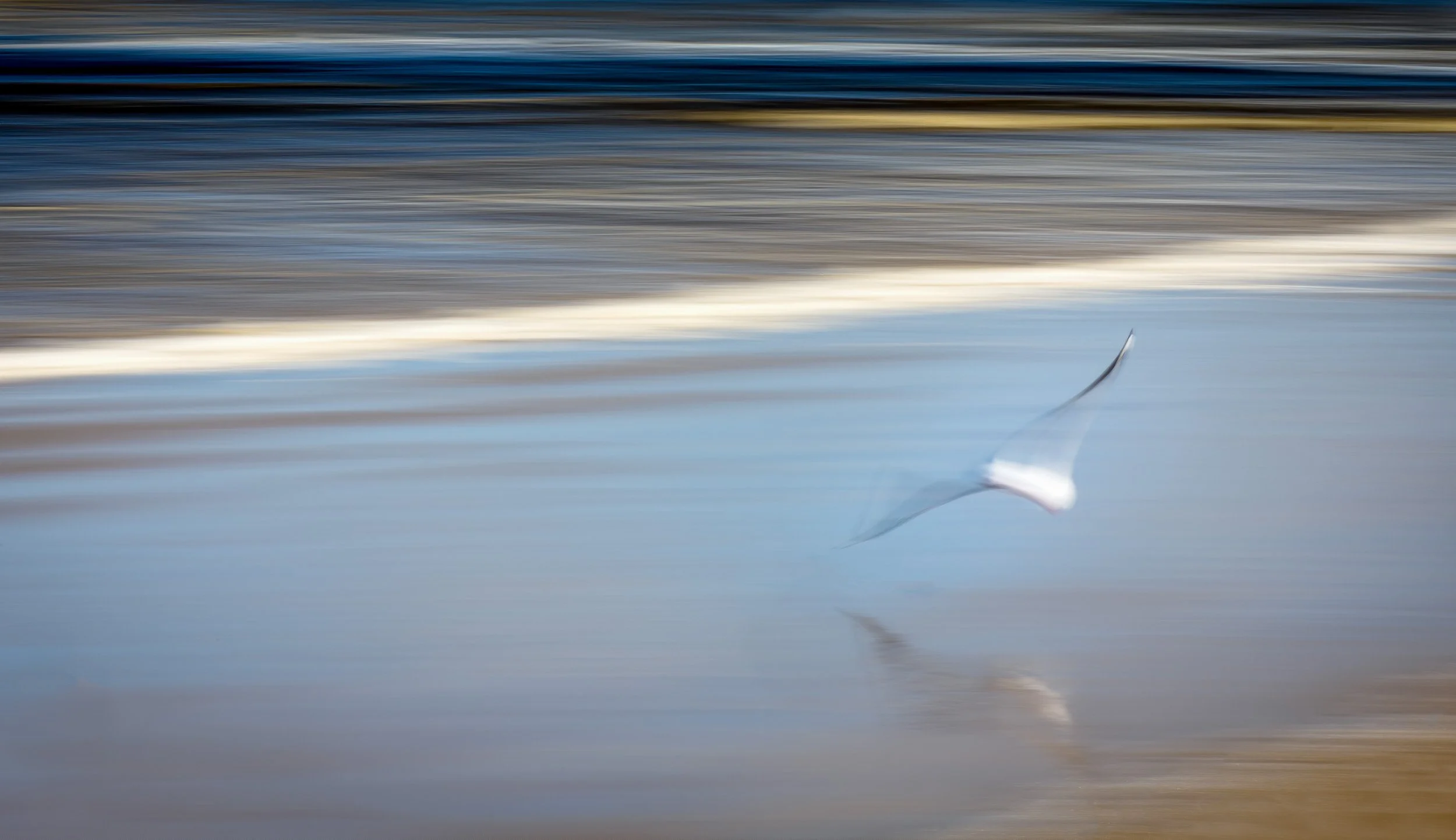 Birubi Beach-1005-Edit-Edit-Edit-Edit.jpg