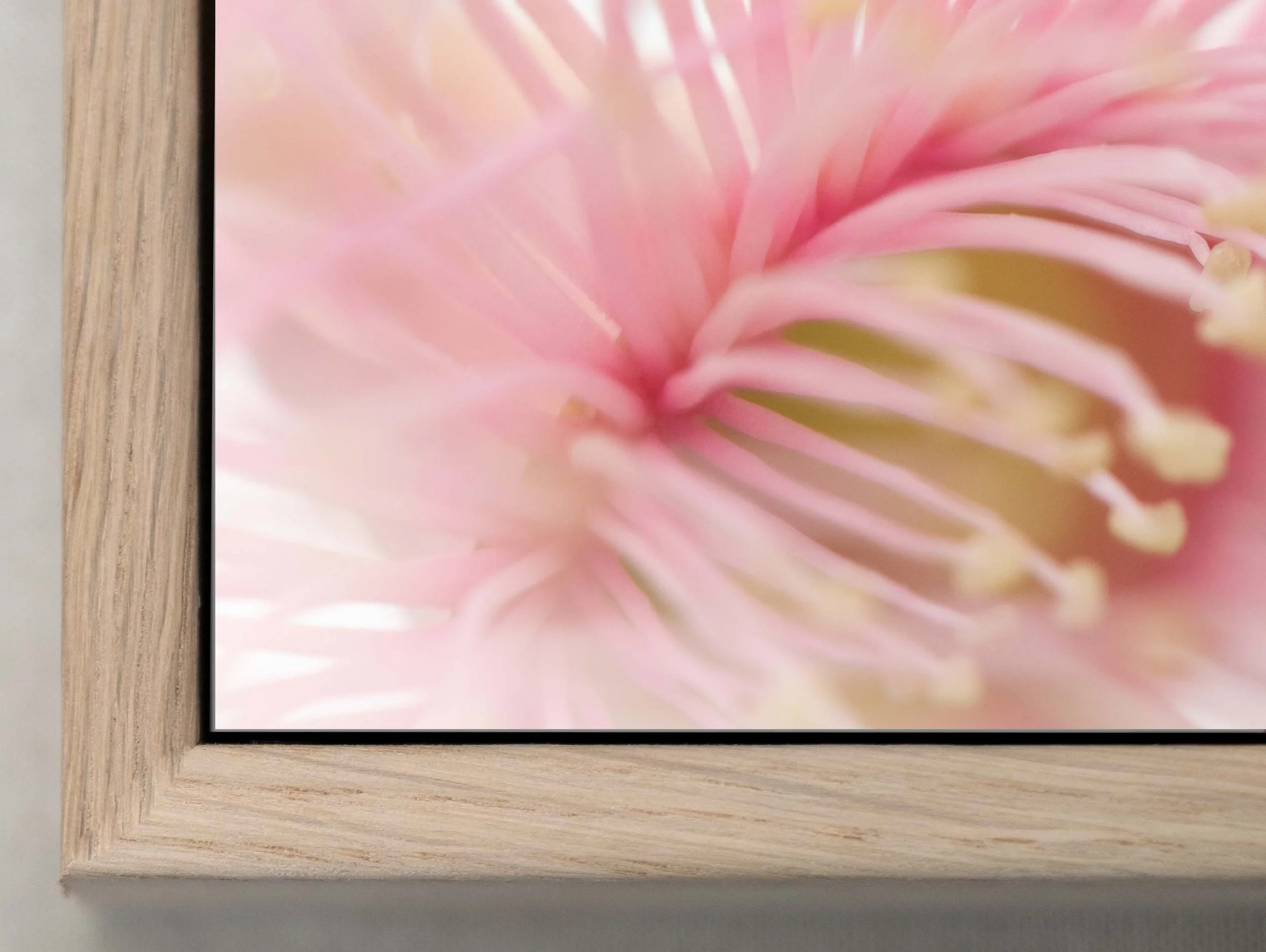 Oak Box Frame (1 of 1)gum flower.jpg