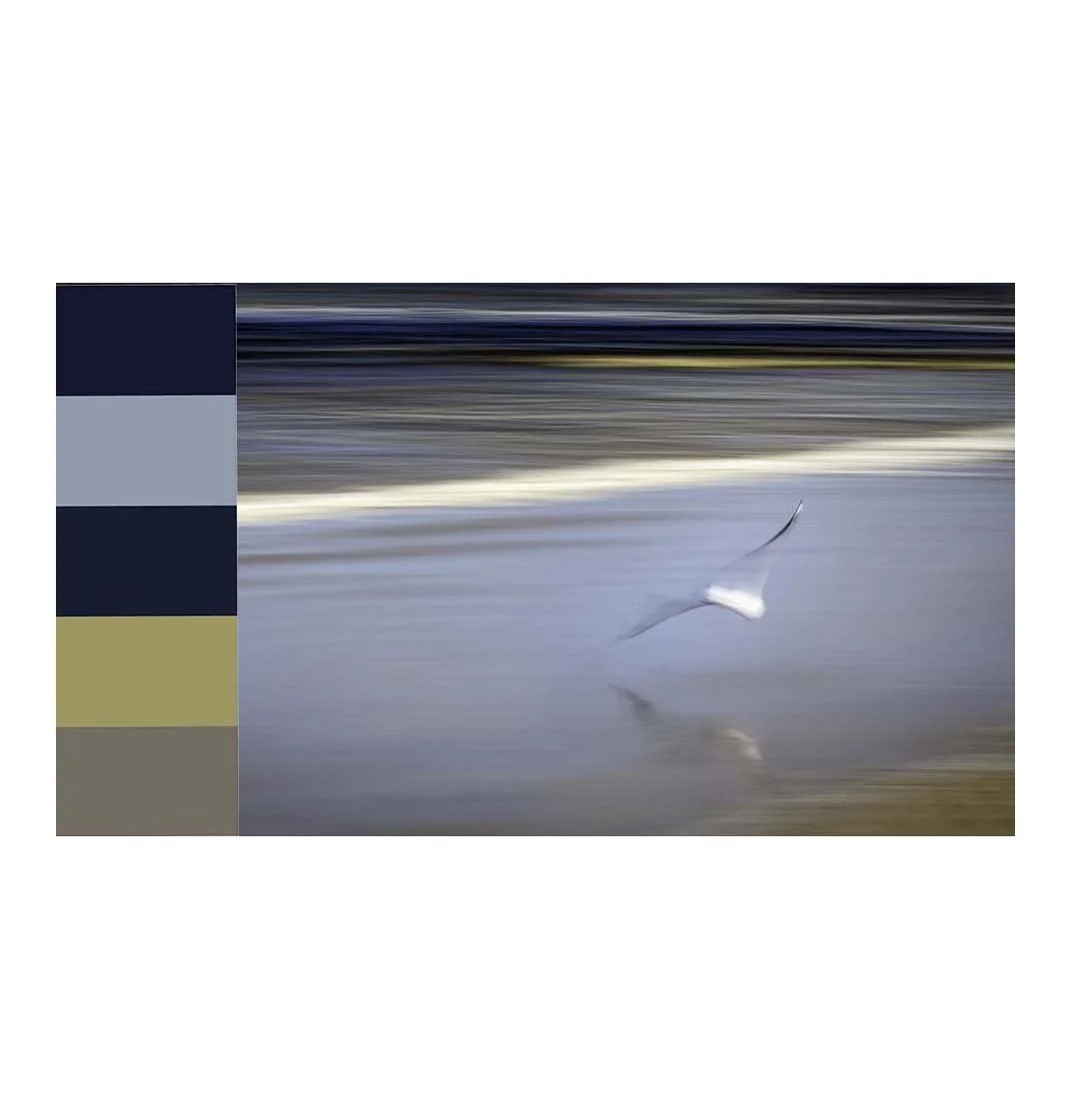 inflight colour and image copy.jpg