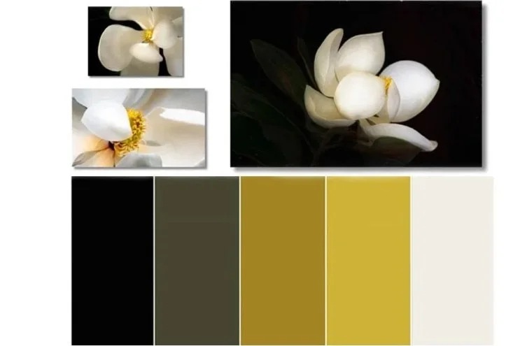 magnolia+collection+colour.jpg