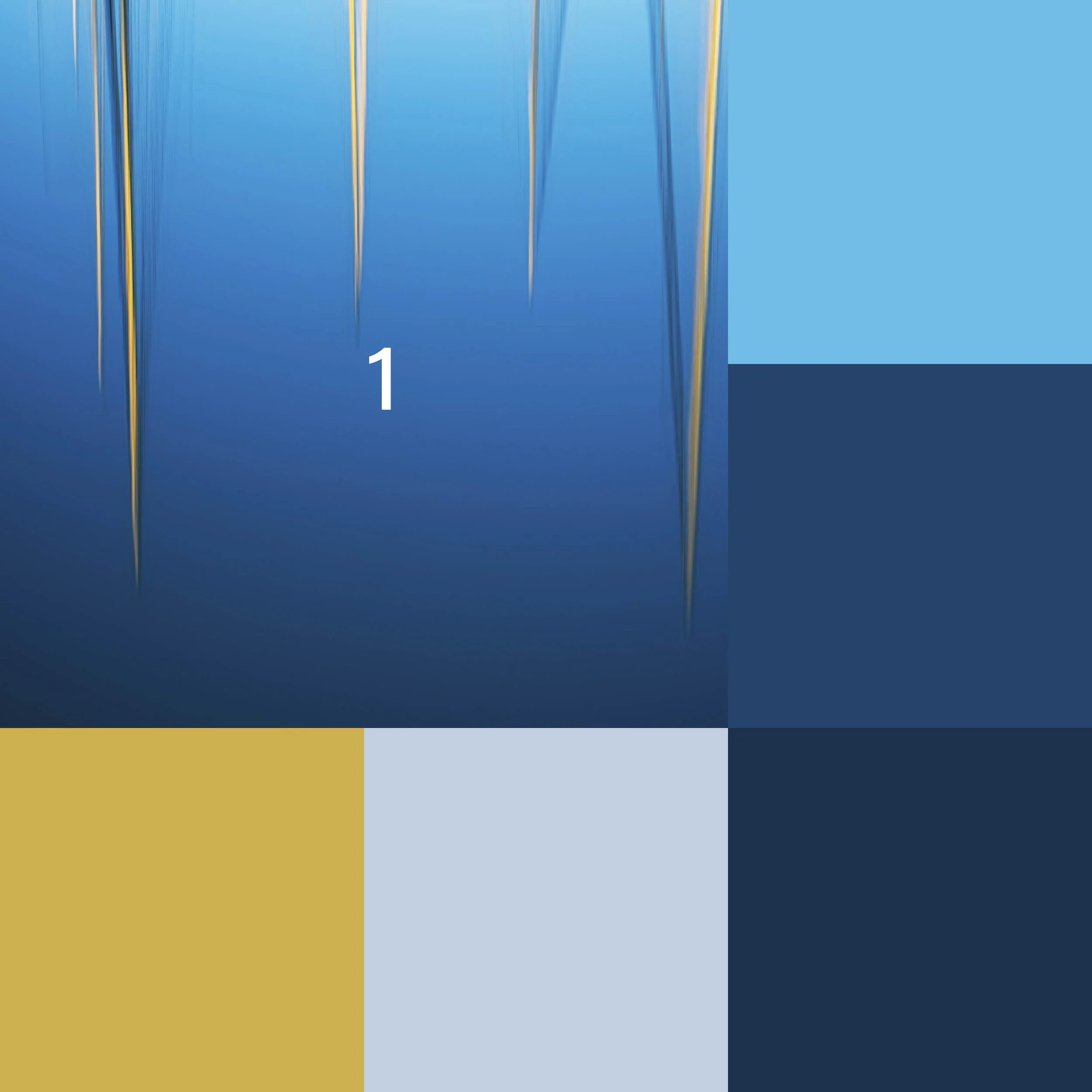 Sparring colour theme.jpg