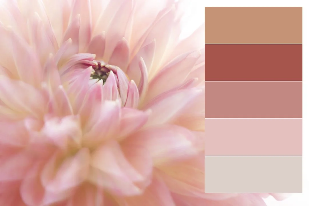 Be Dahlia.jpg