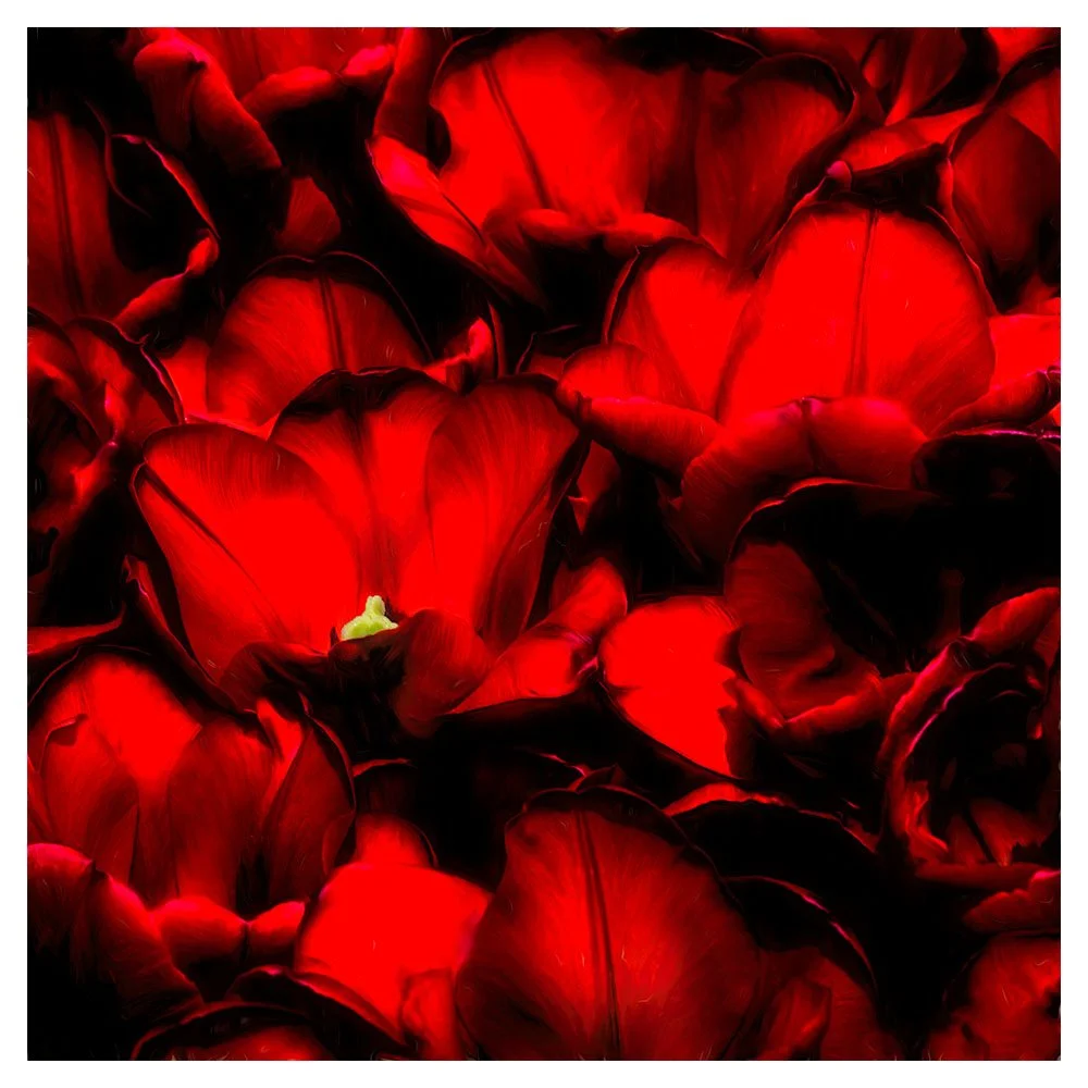 Blooming Red