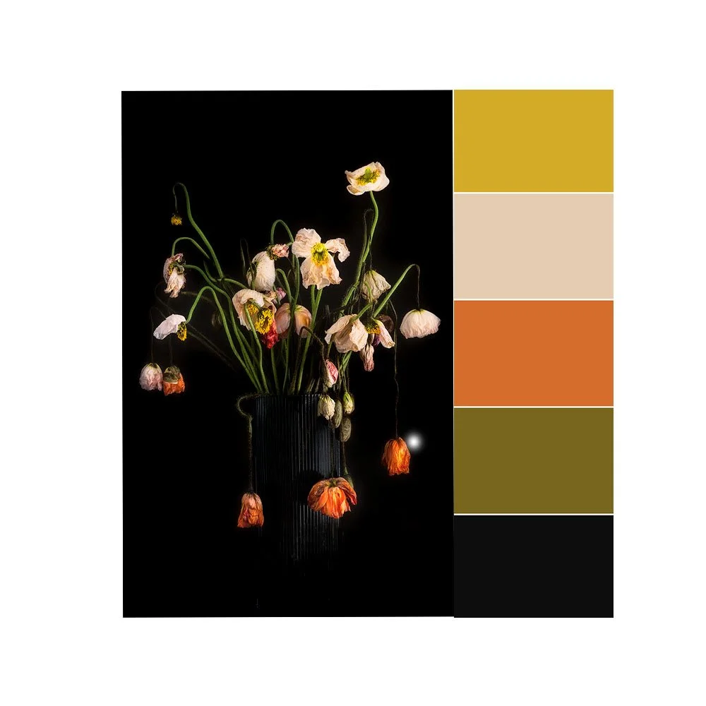 past perfect poppies colour.jpg