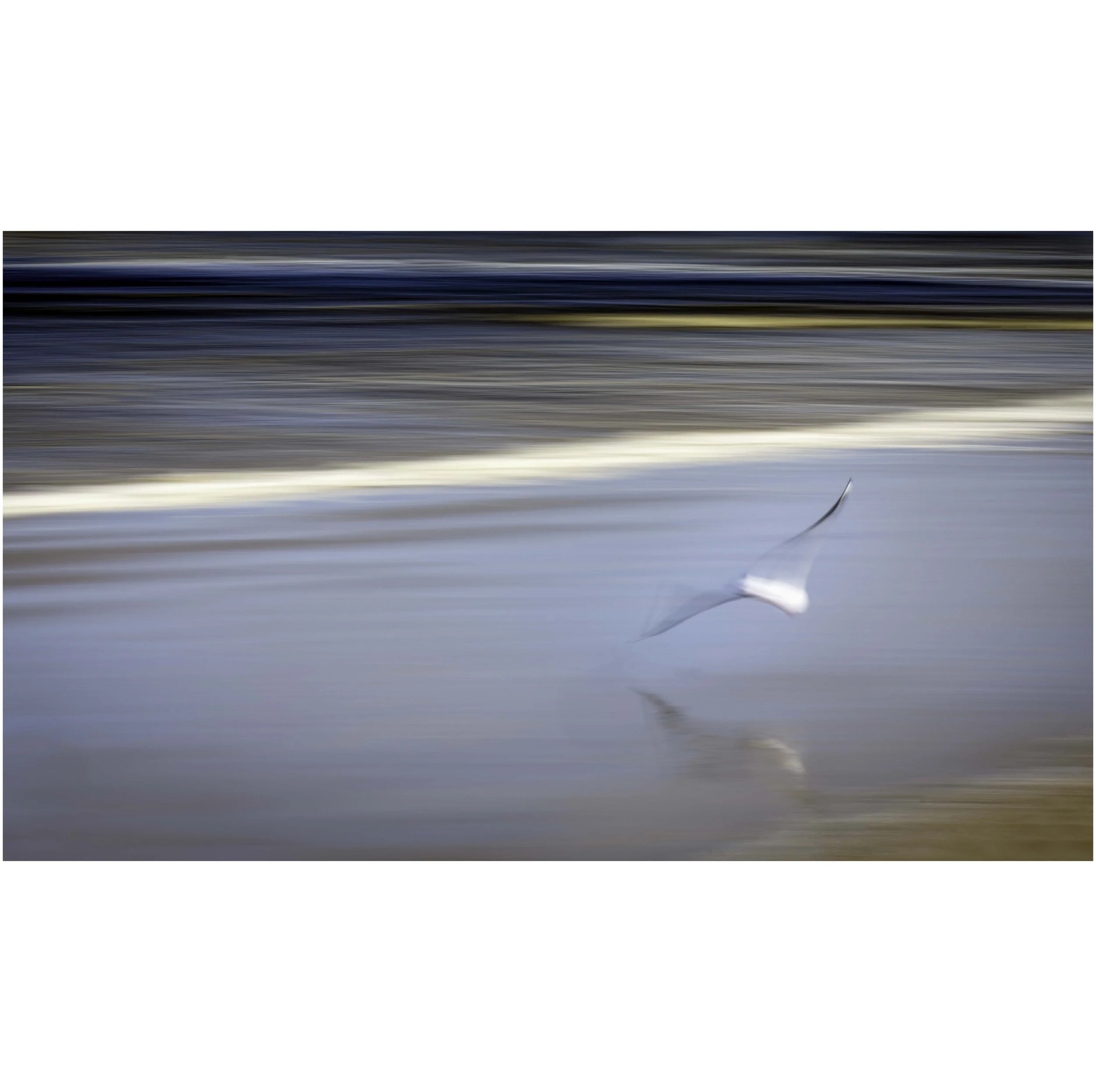 In Flight