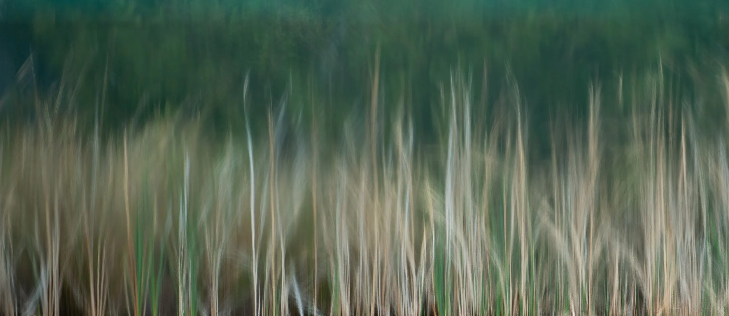 Canberra TPC 2018-1879-2-Edit-Edit.jpg