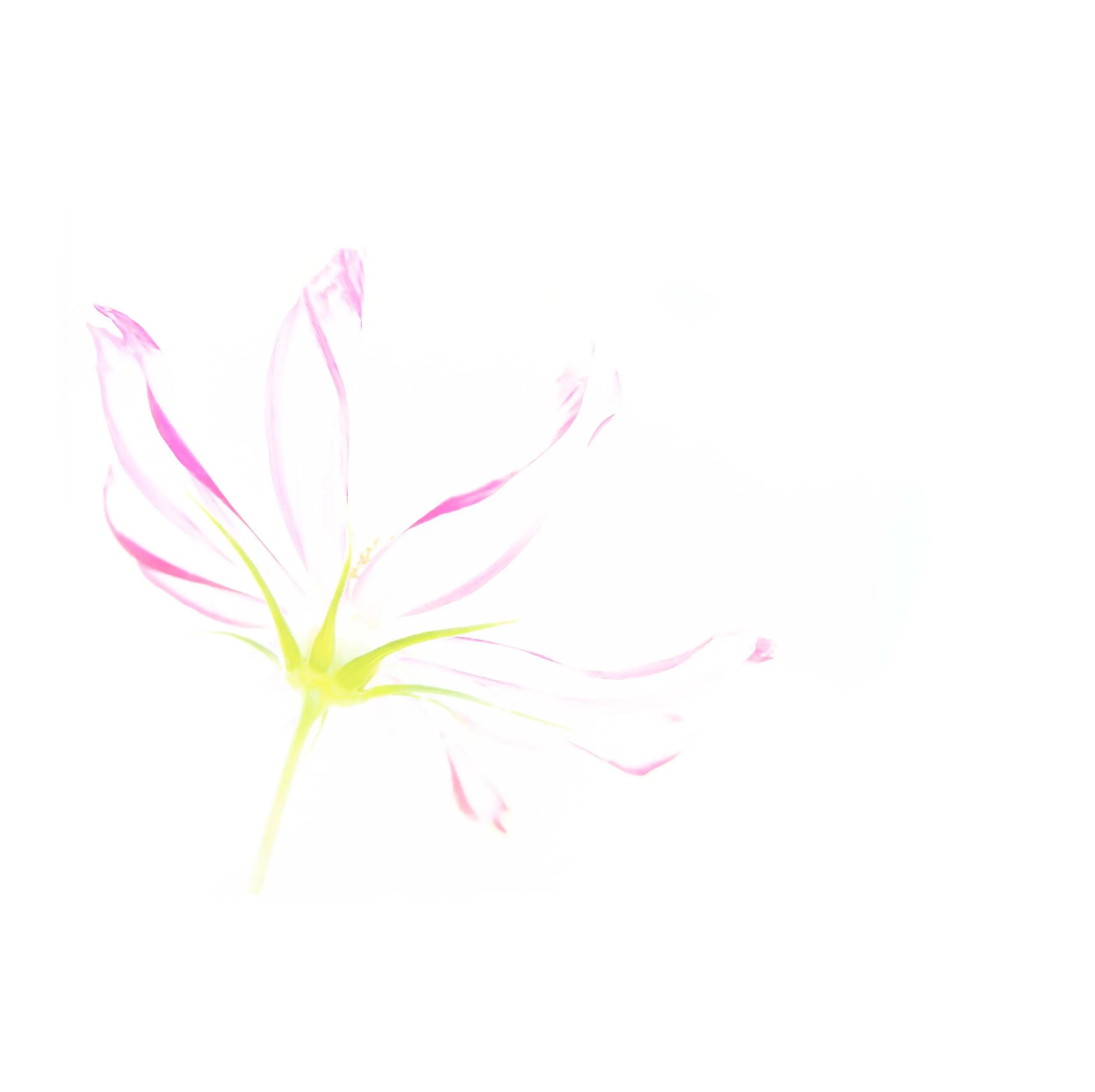Awakening