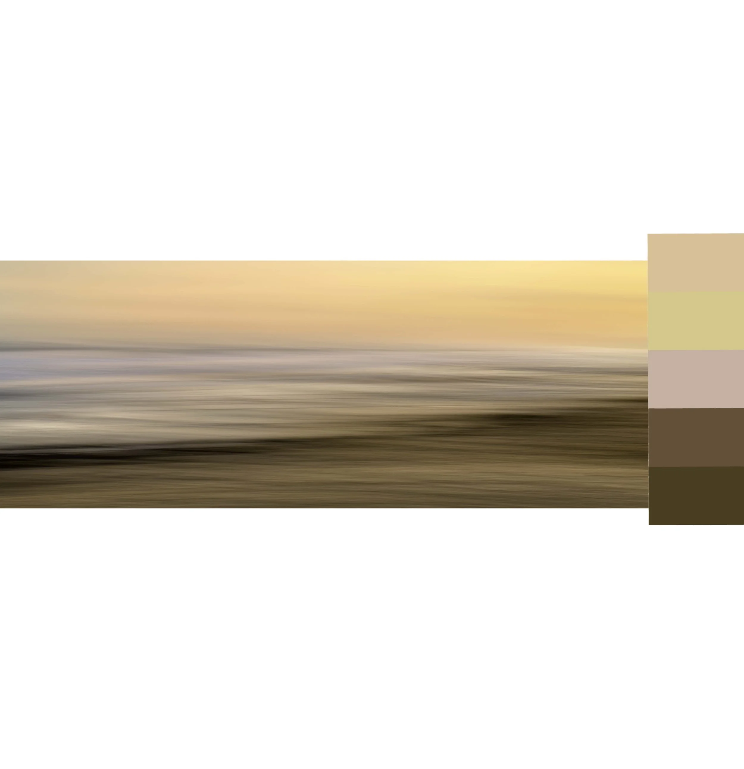 Golden hues.jpg