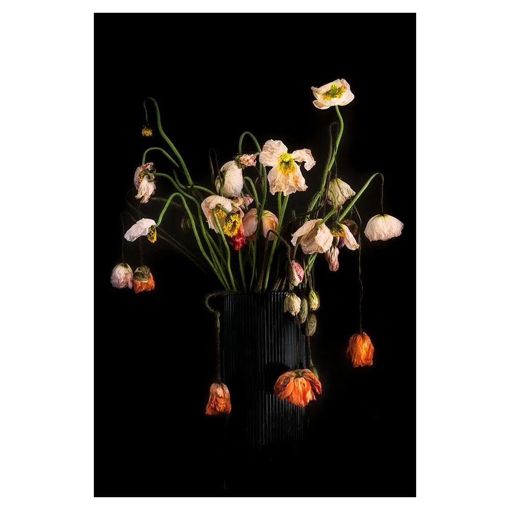 Poppies - Past Perfect