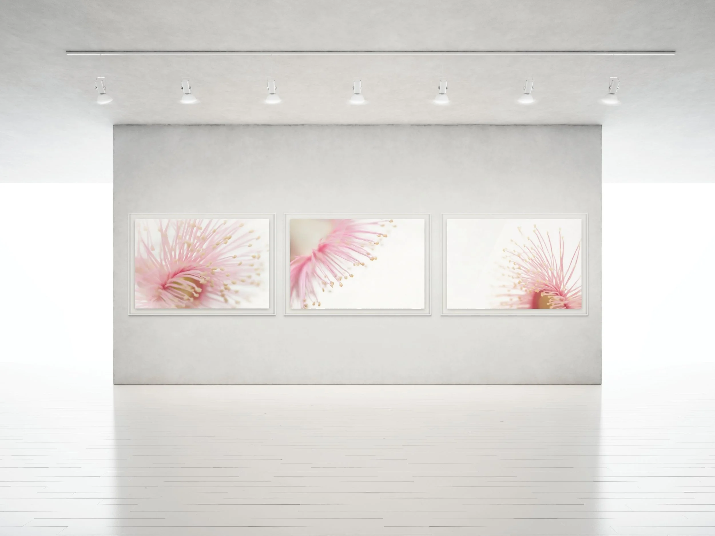 Gum Flower Fairies -  Series