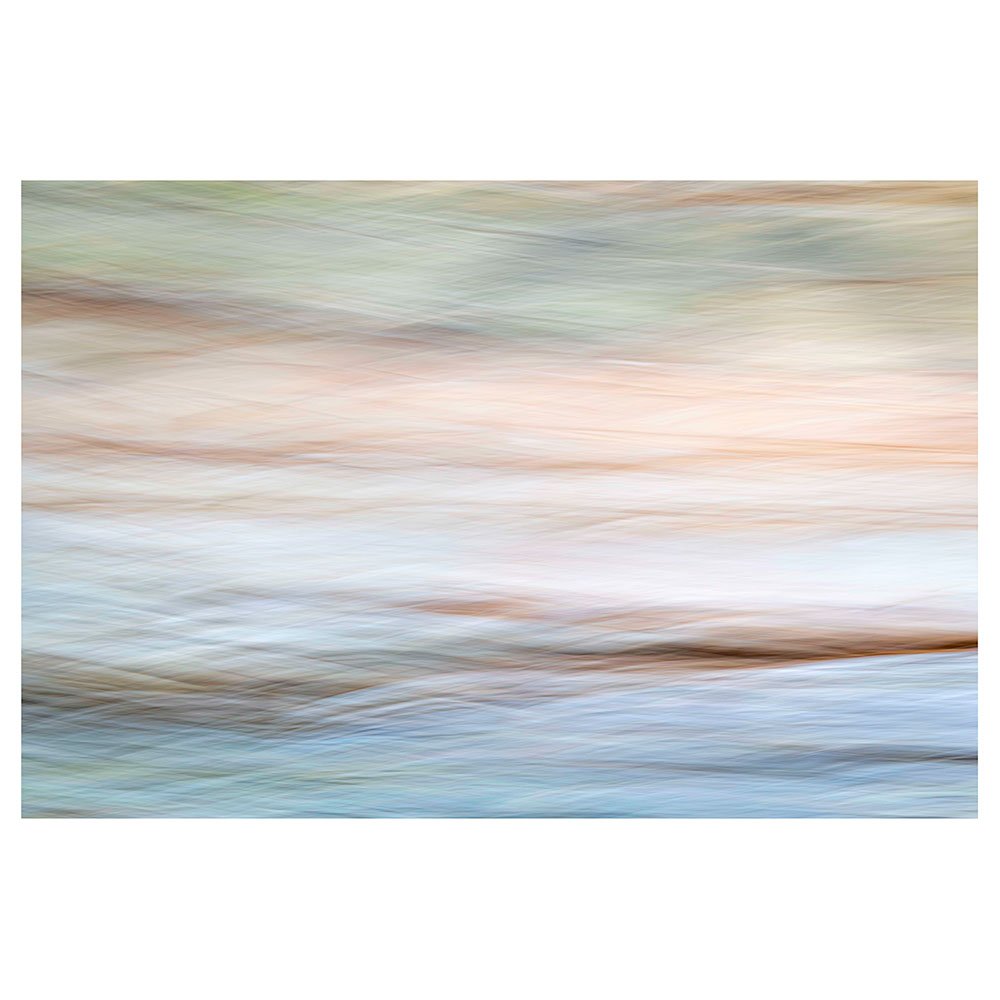 Colour Of Bark
