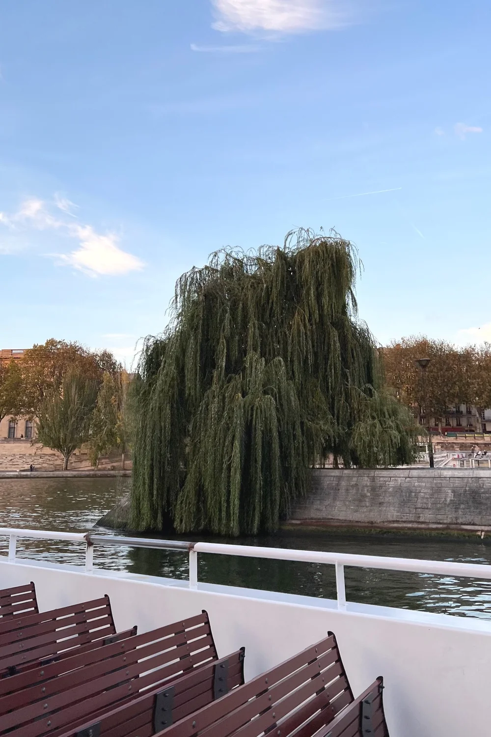  This is the willow tree on the end of Île de la Cité where my uncle’s ashes went  