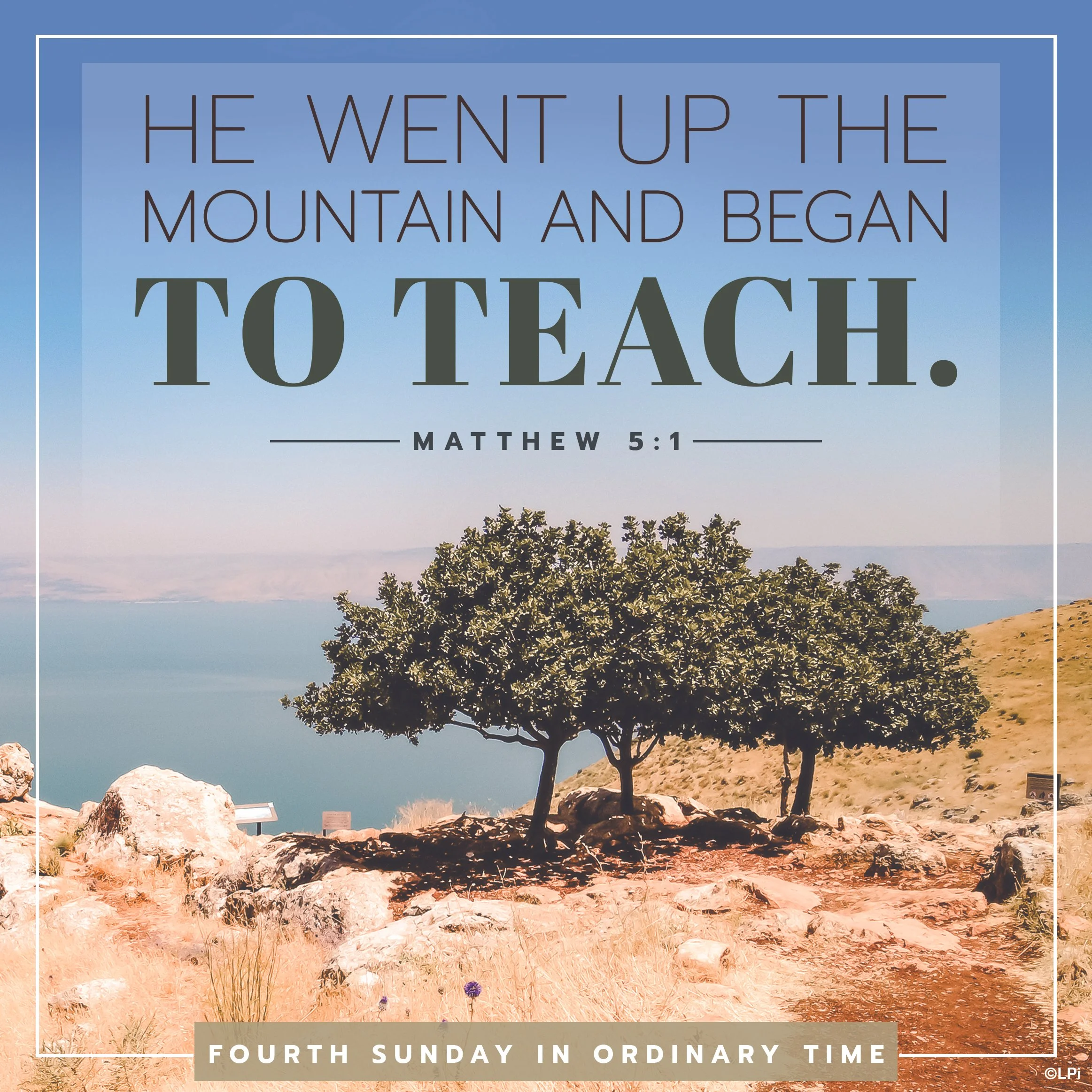 Sunday, 1 February 2026