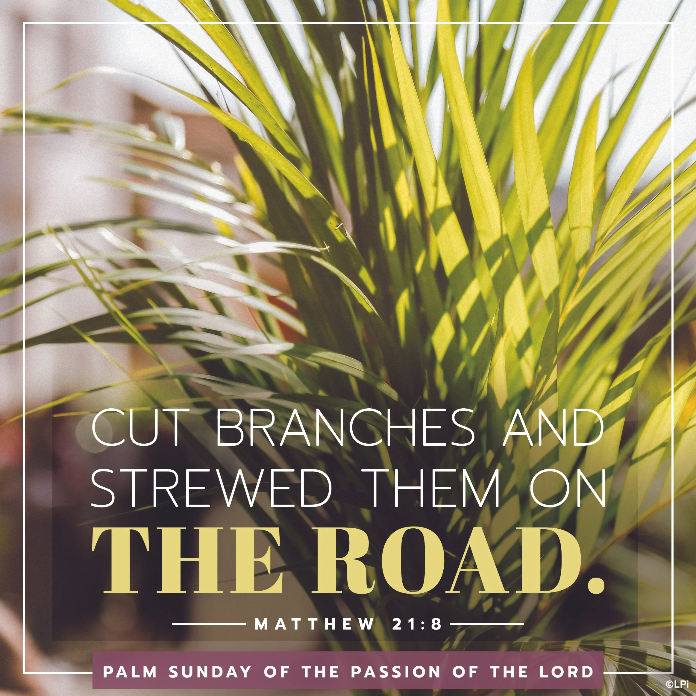 Sunday, 29 March 2026