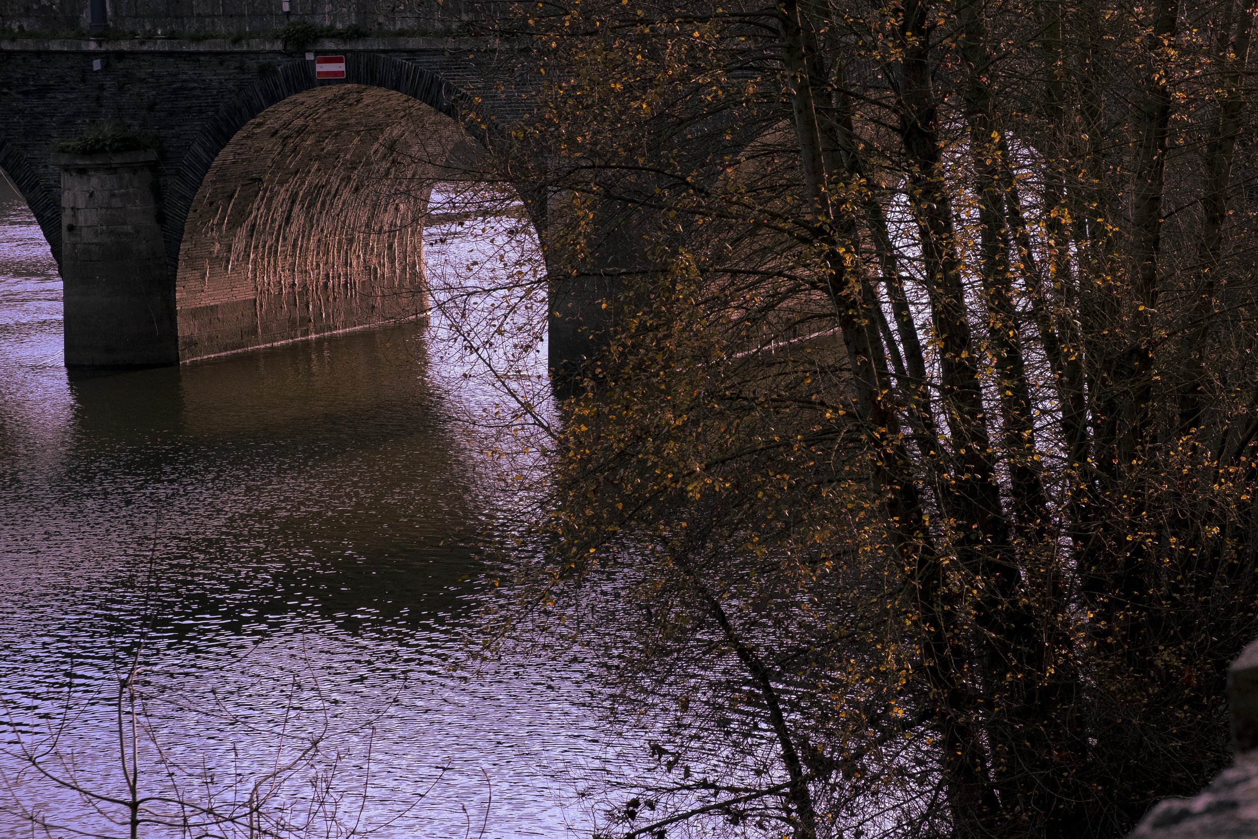 Last of Autumn, Angers, France