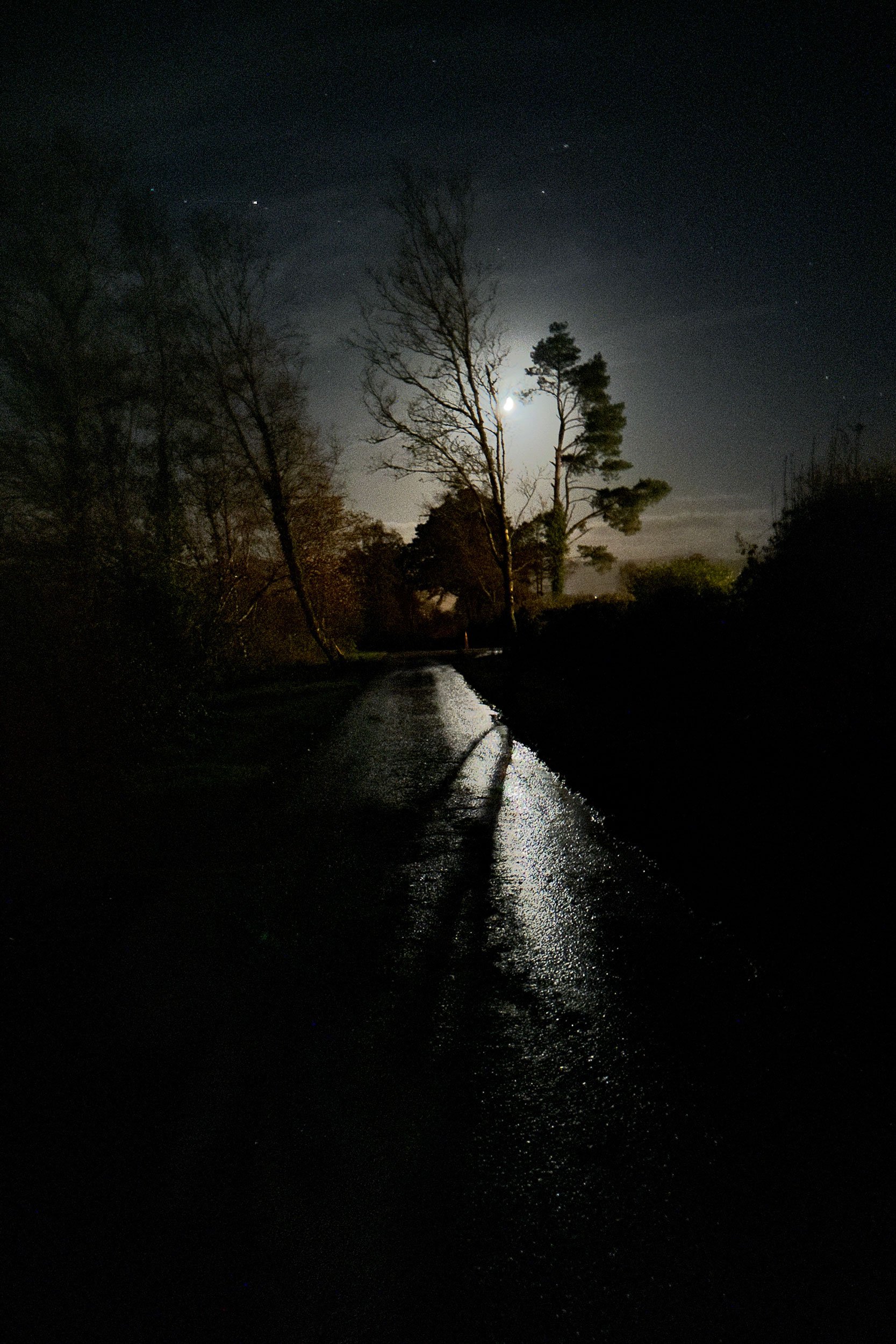 Moonrise Over Irish Lane