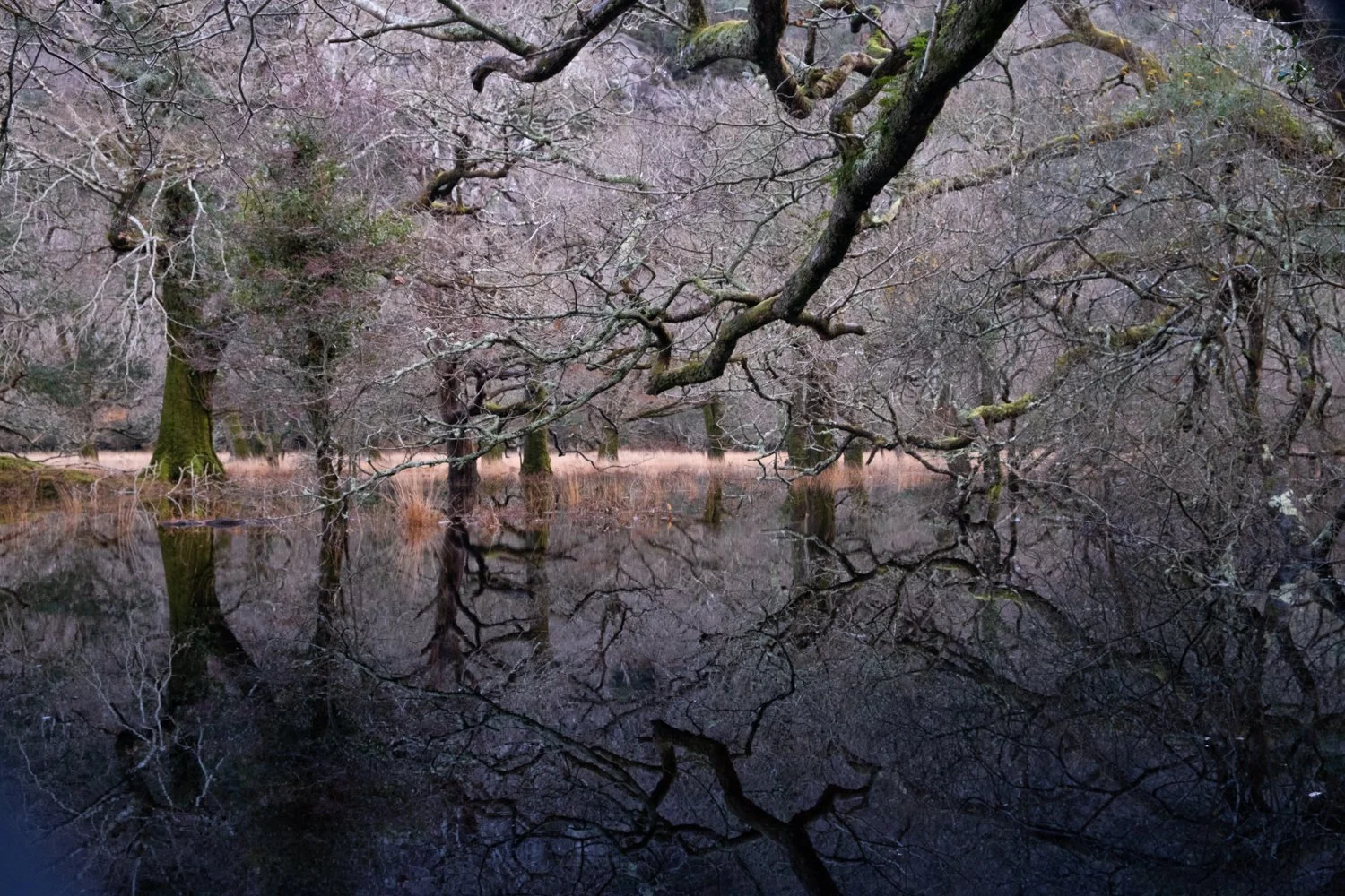 Lost in the Underworld