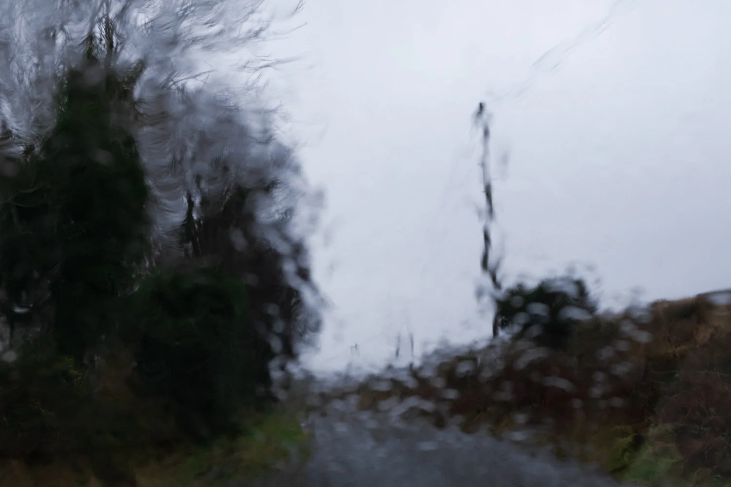 In the Rain on an Irish Lane